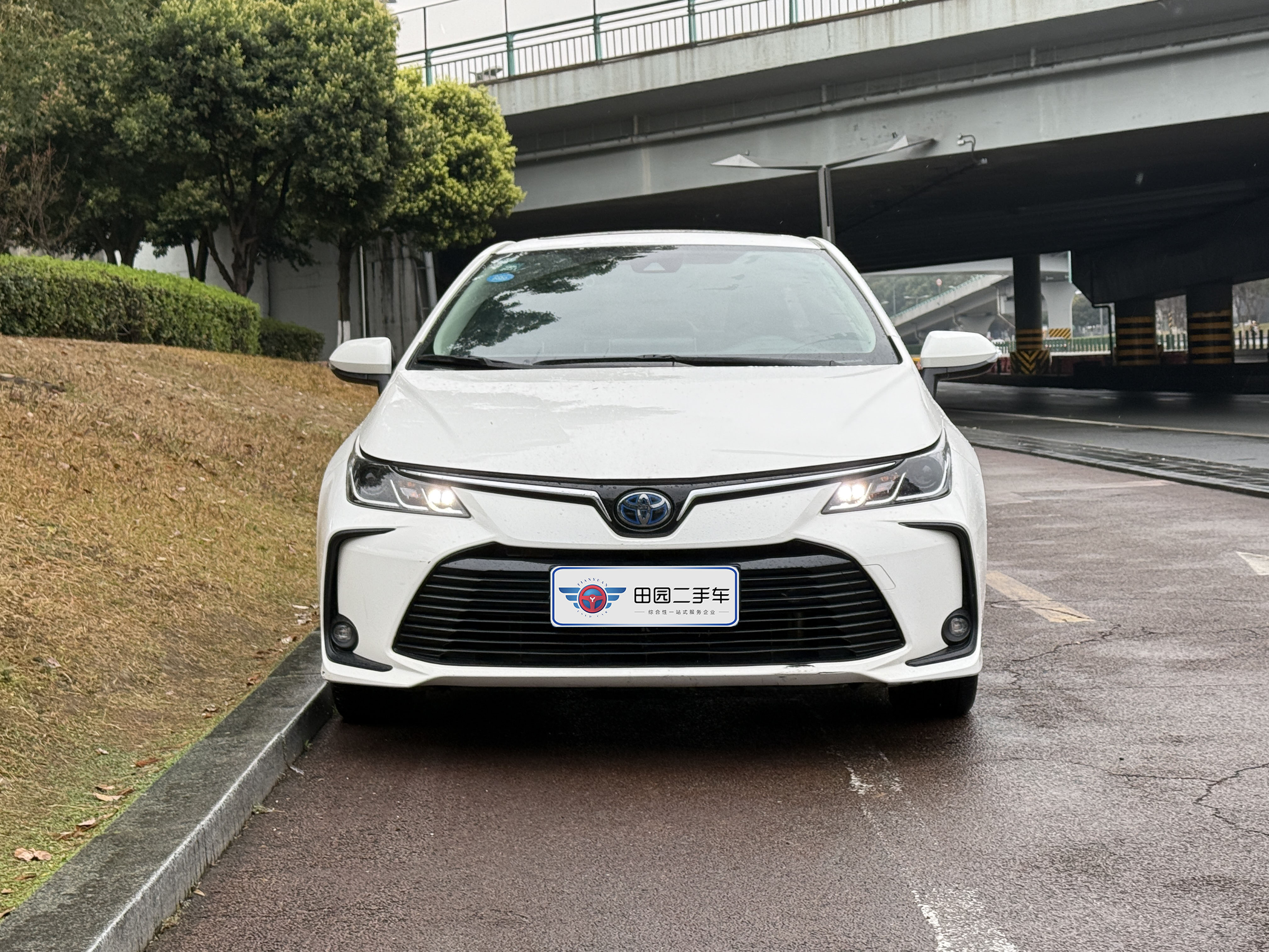 Corolla 2019 car image #2