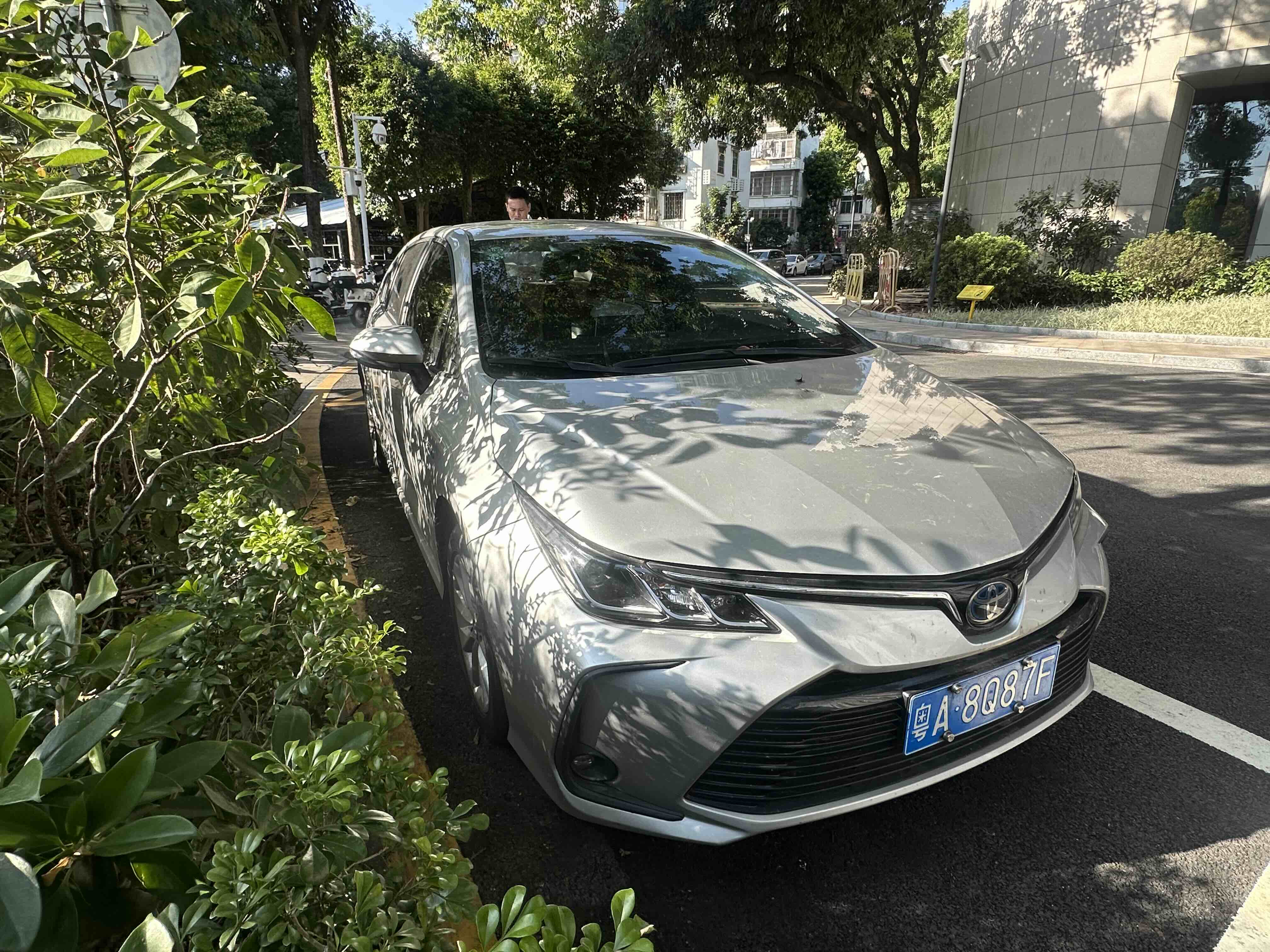 Toyota Corolla 2019 #2 Toyota Corolla 2019 car image #2
