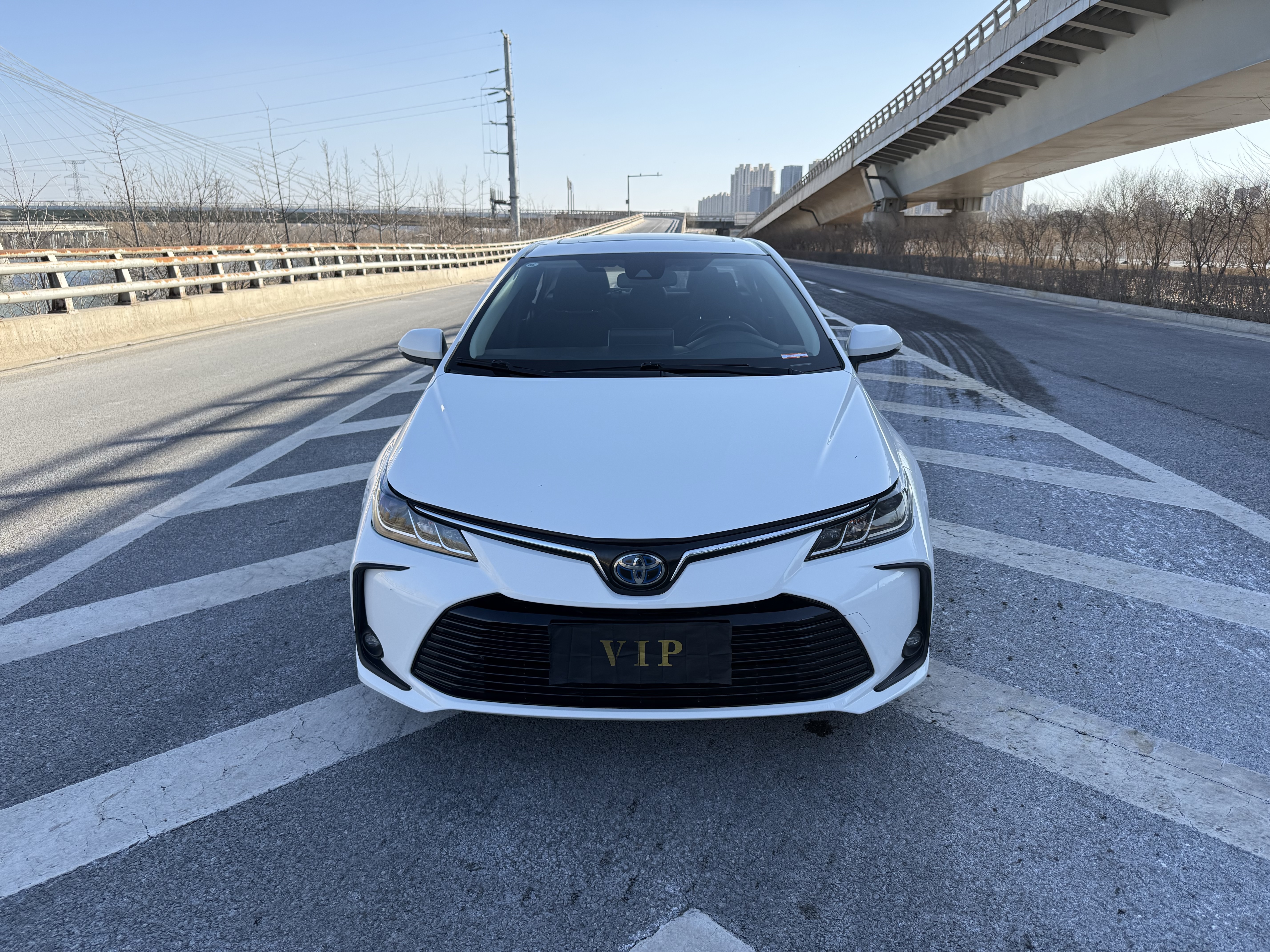 Corolla 2020 car image #2