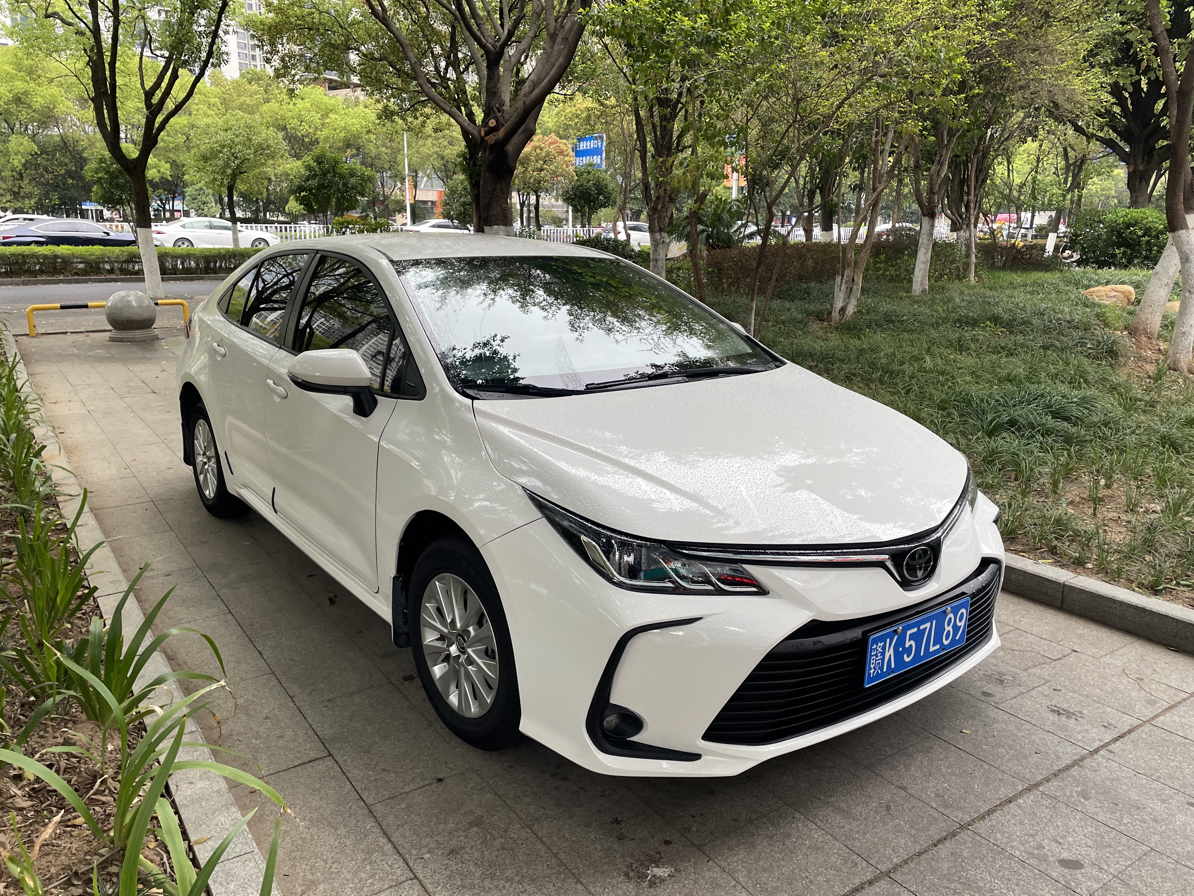 Corolla 2021 car image #2