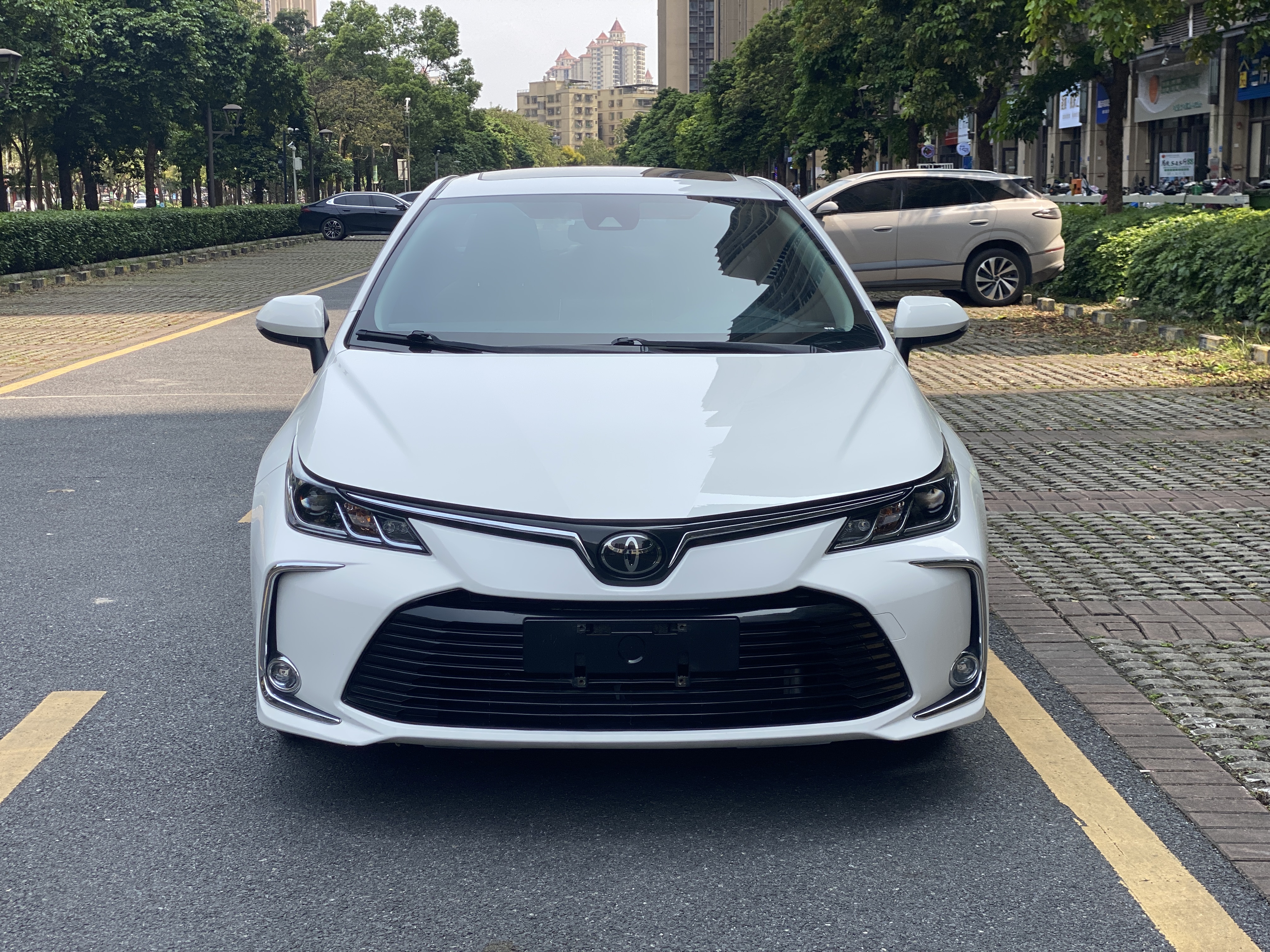 Corolla 2020 car image #2