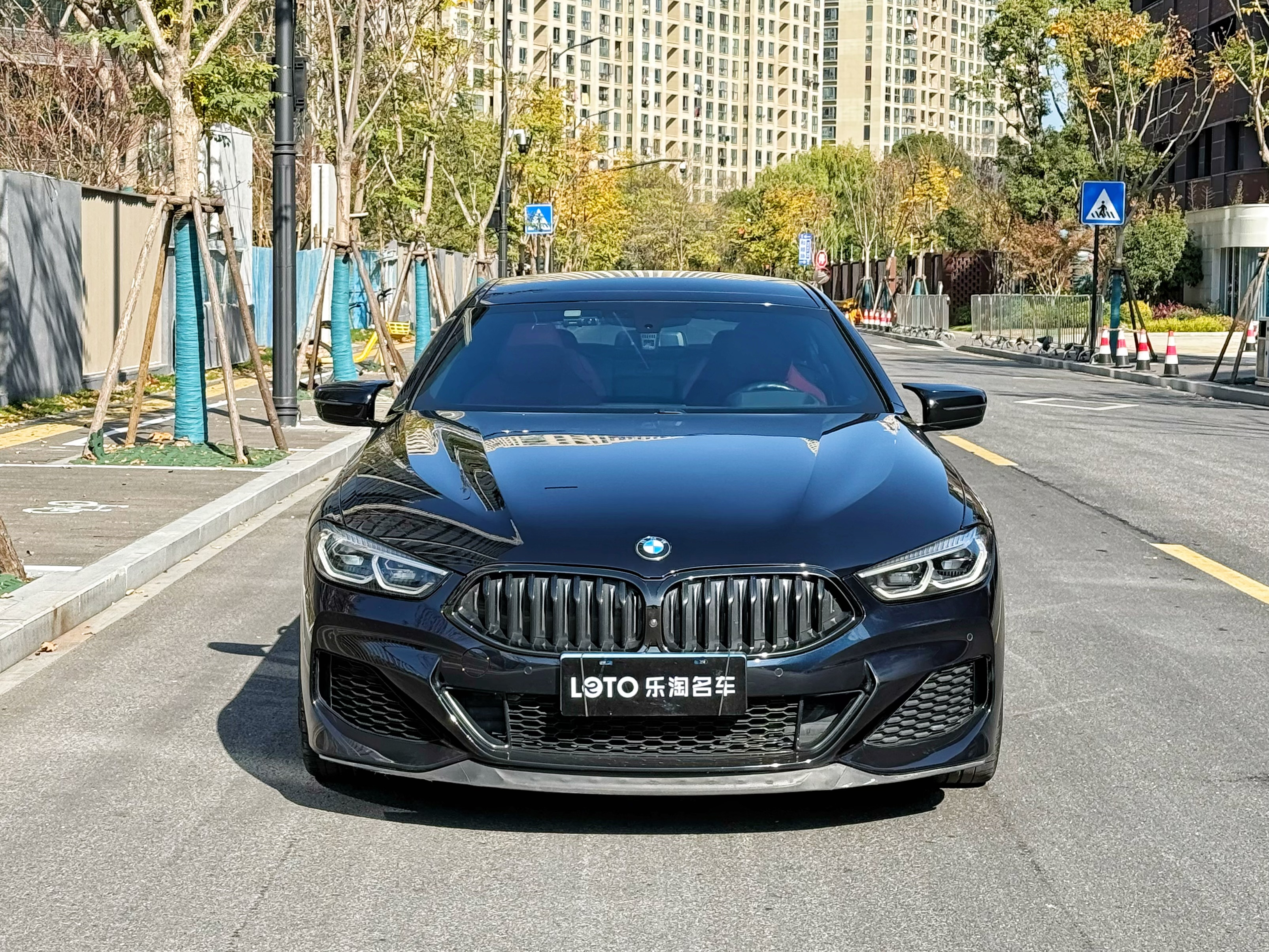 BMW 8 Series 2020 #2 BMW 8 Series 2020 car image #2