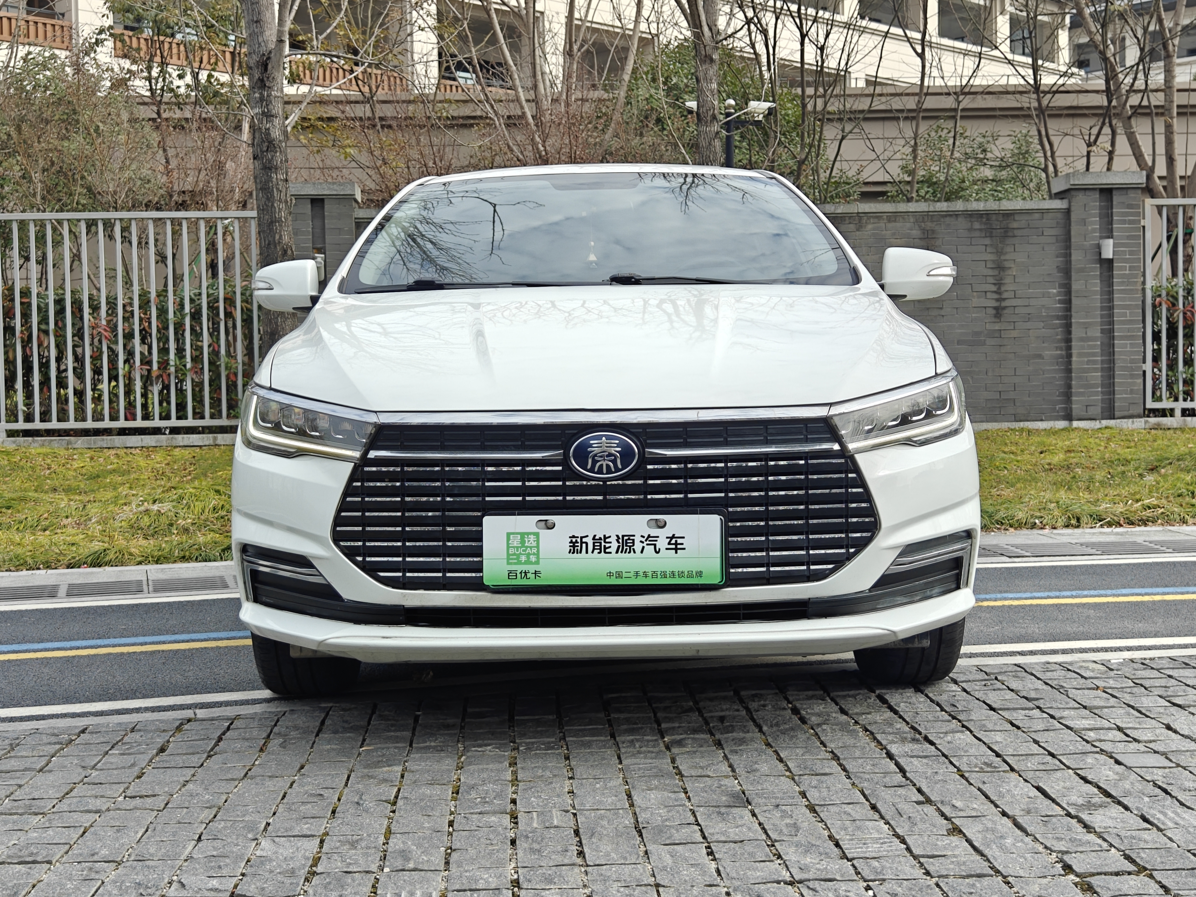 BYD Qin New Energy 2020 car image #2