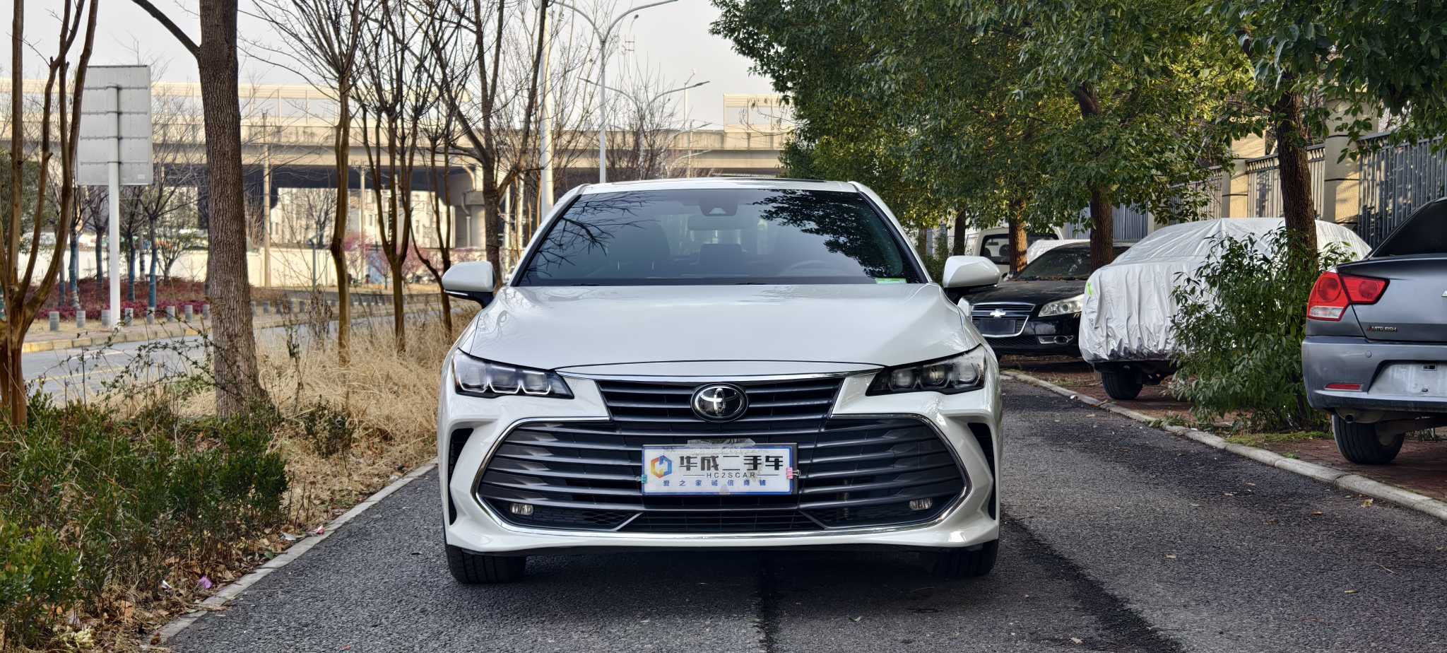Toyota Avalon 2020 immagine di auto #2