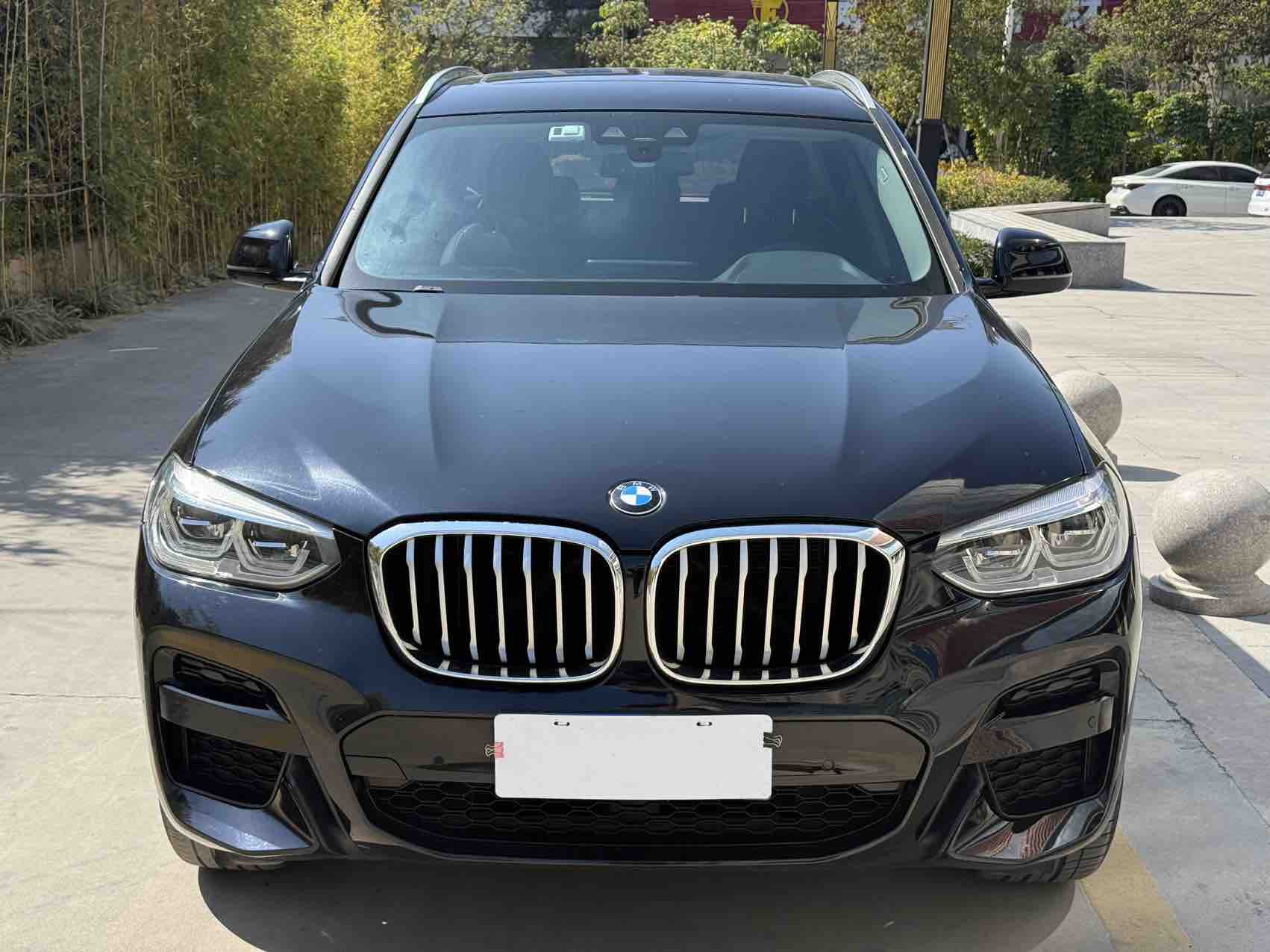 BMW X3 2020 immagine di auto #2