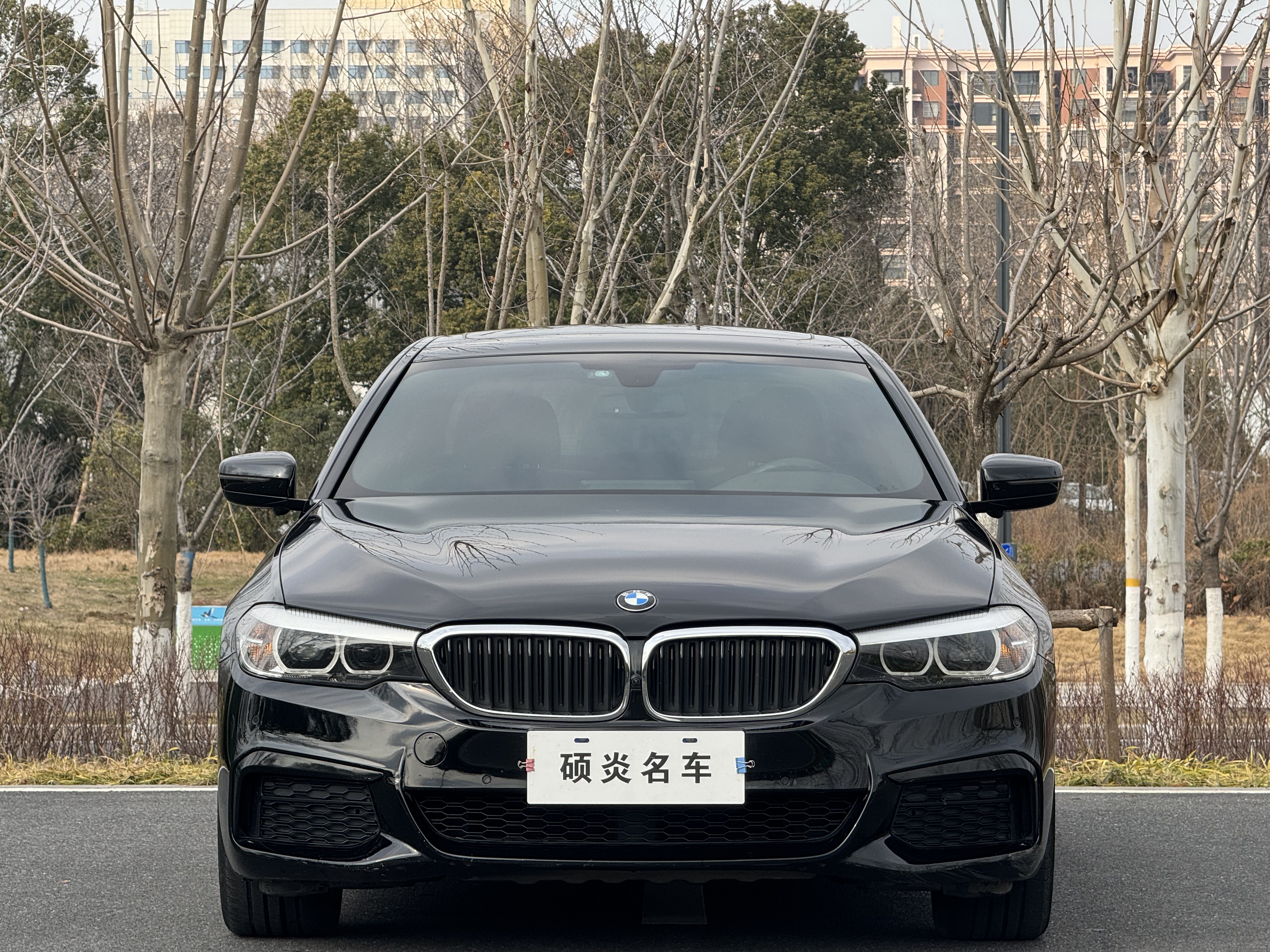 BMW 5 Series 2019 #2 BMW 5 Series 2019 car image #2
