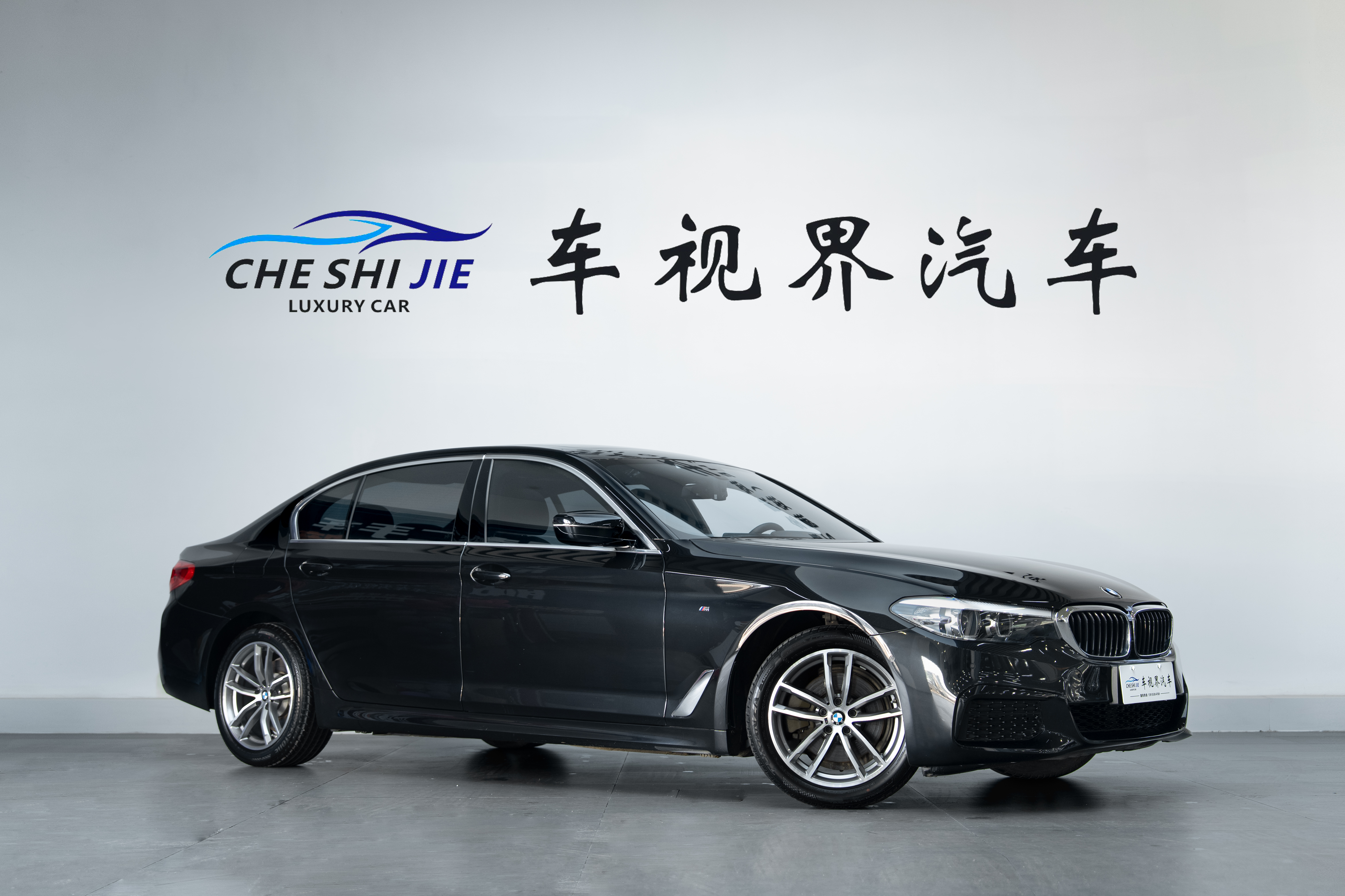 BMW 5 Series 2020 #2 BMW 5 Series 2020 car image #2