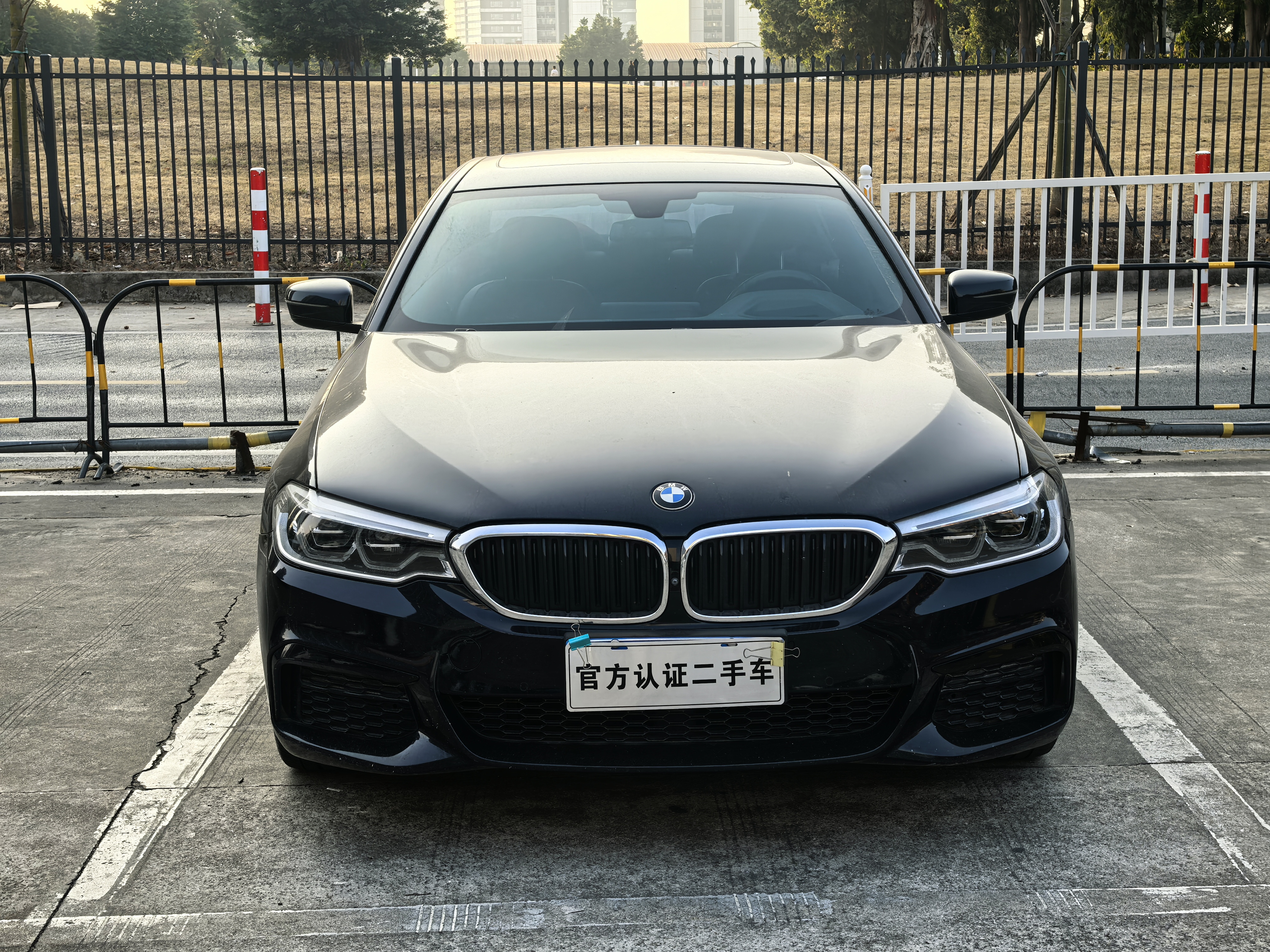 BMW 5 Series 2020 car image #2