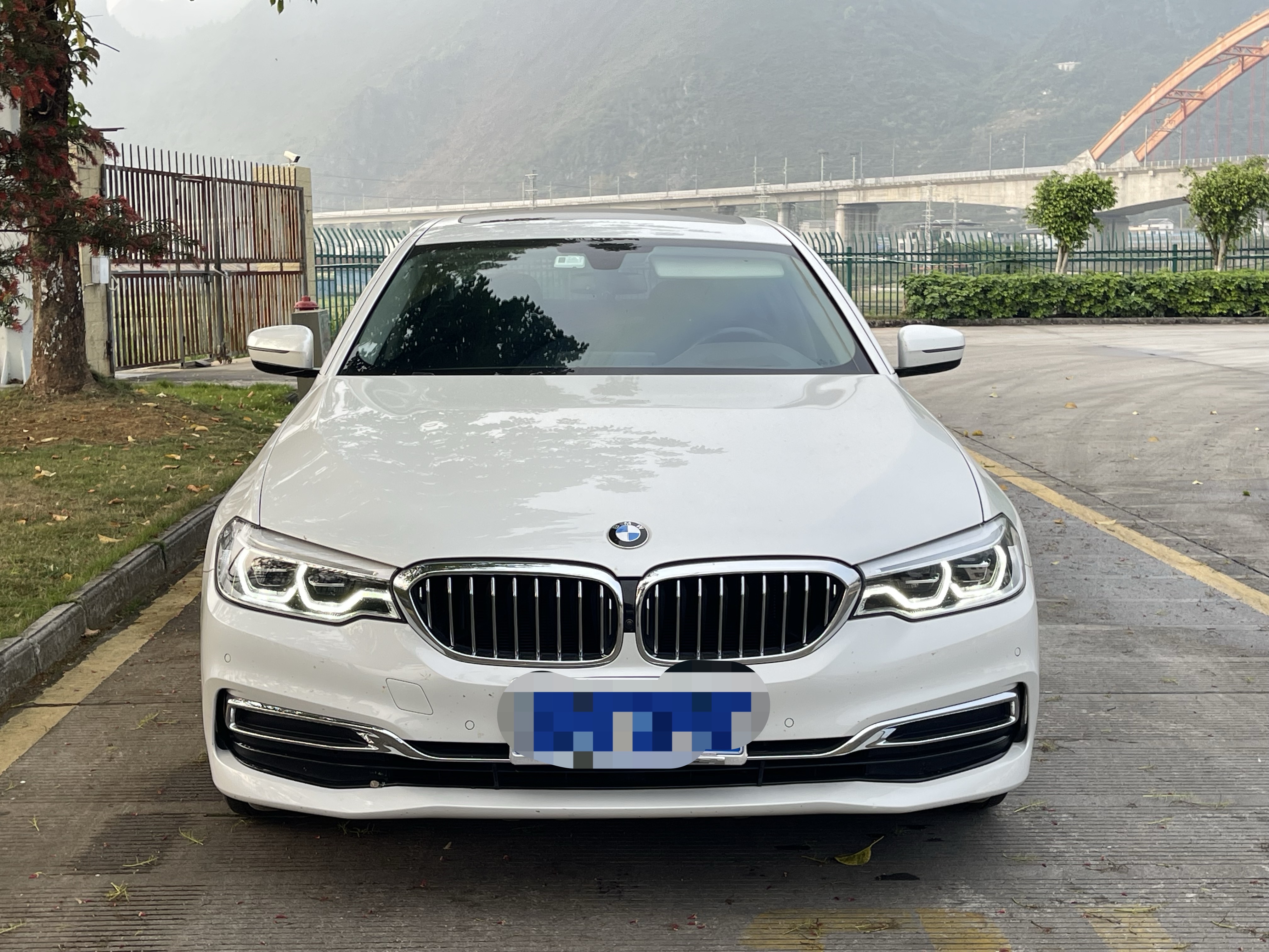 BMW 5 Series 2020 car image #2