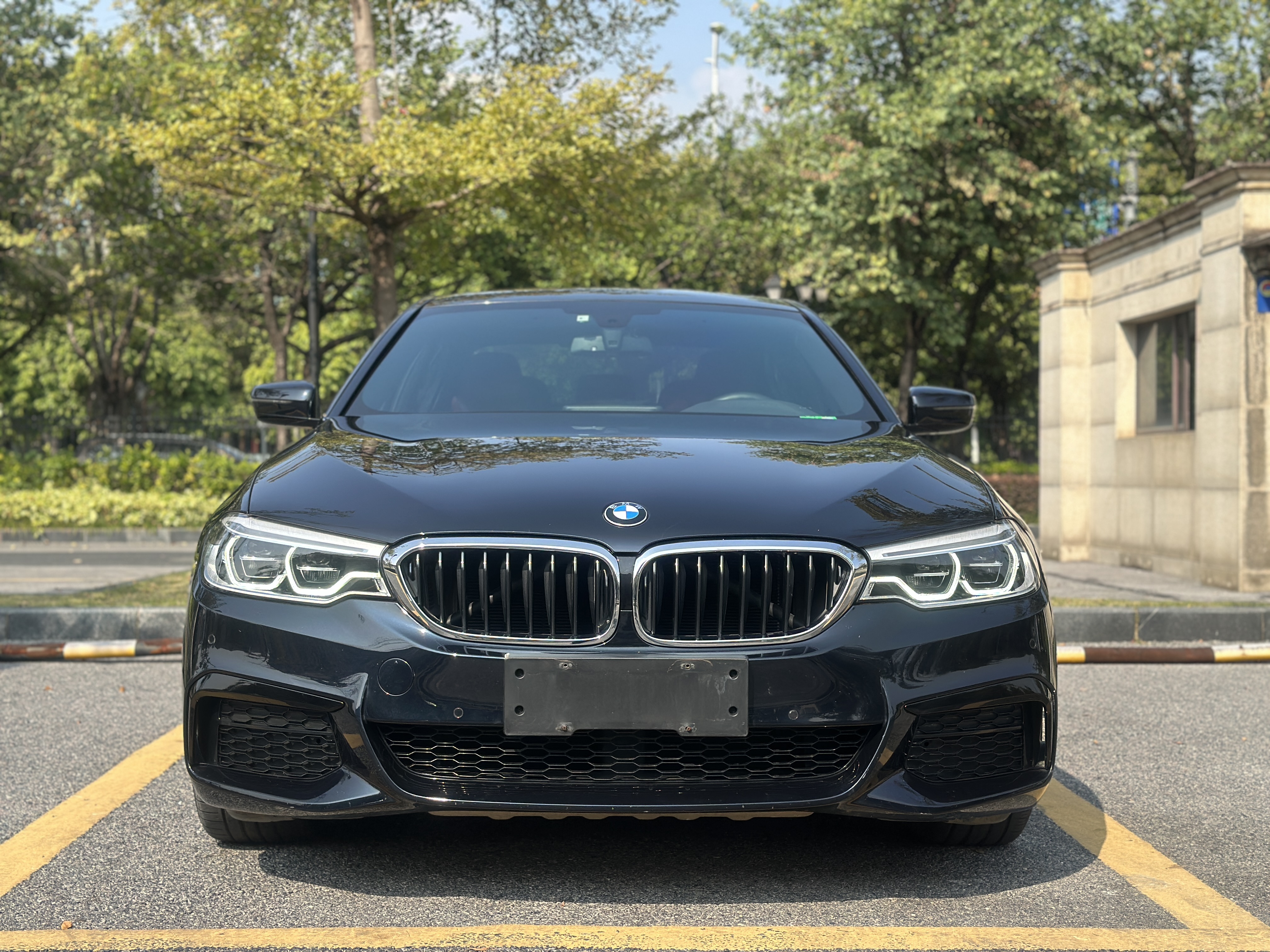 BMW 5 Series 2020 #2 BMW 5 Series 2020 car image #2