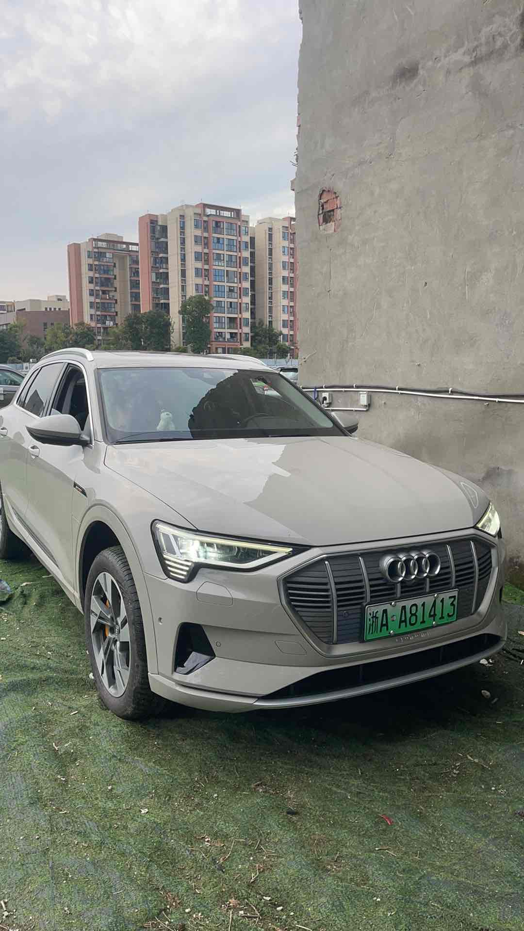 Audi e-tron (Imported) 2020 car image #2