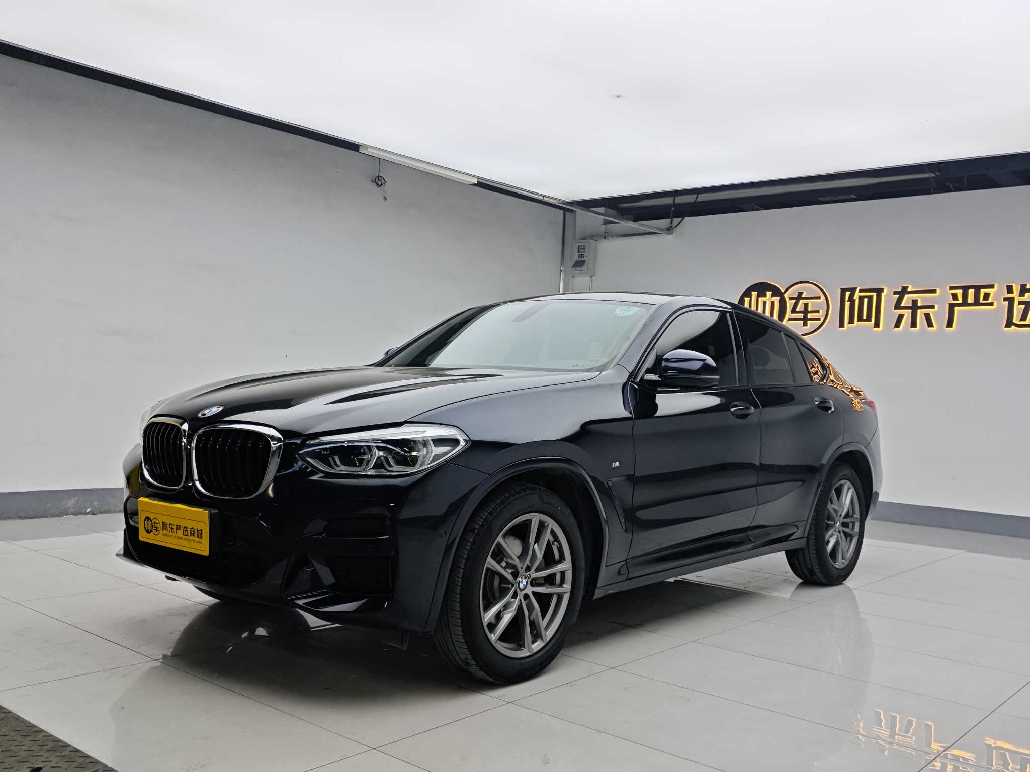 BMW X4 2020 immagine di auto #2