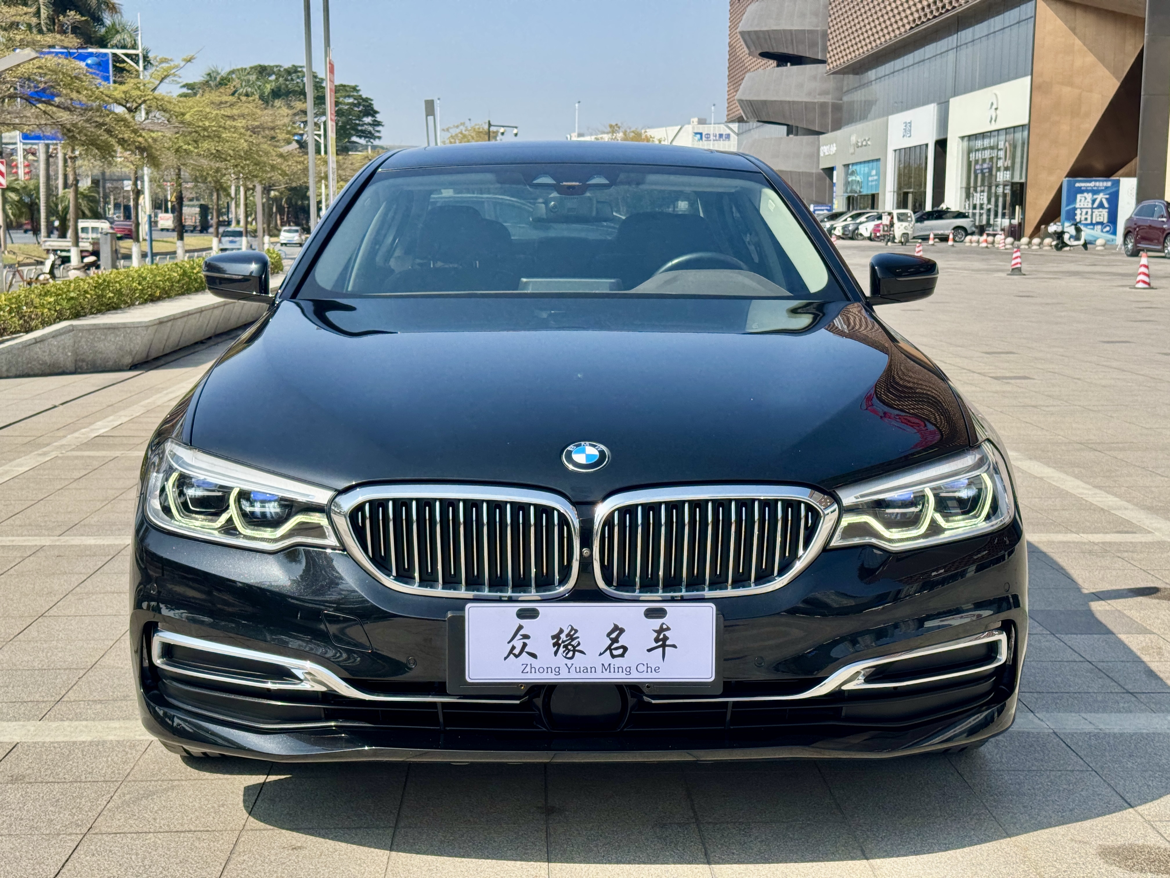 BMW 5 Series New Energy 2020 car image #2