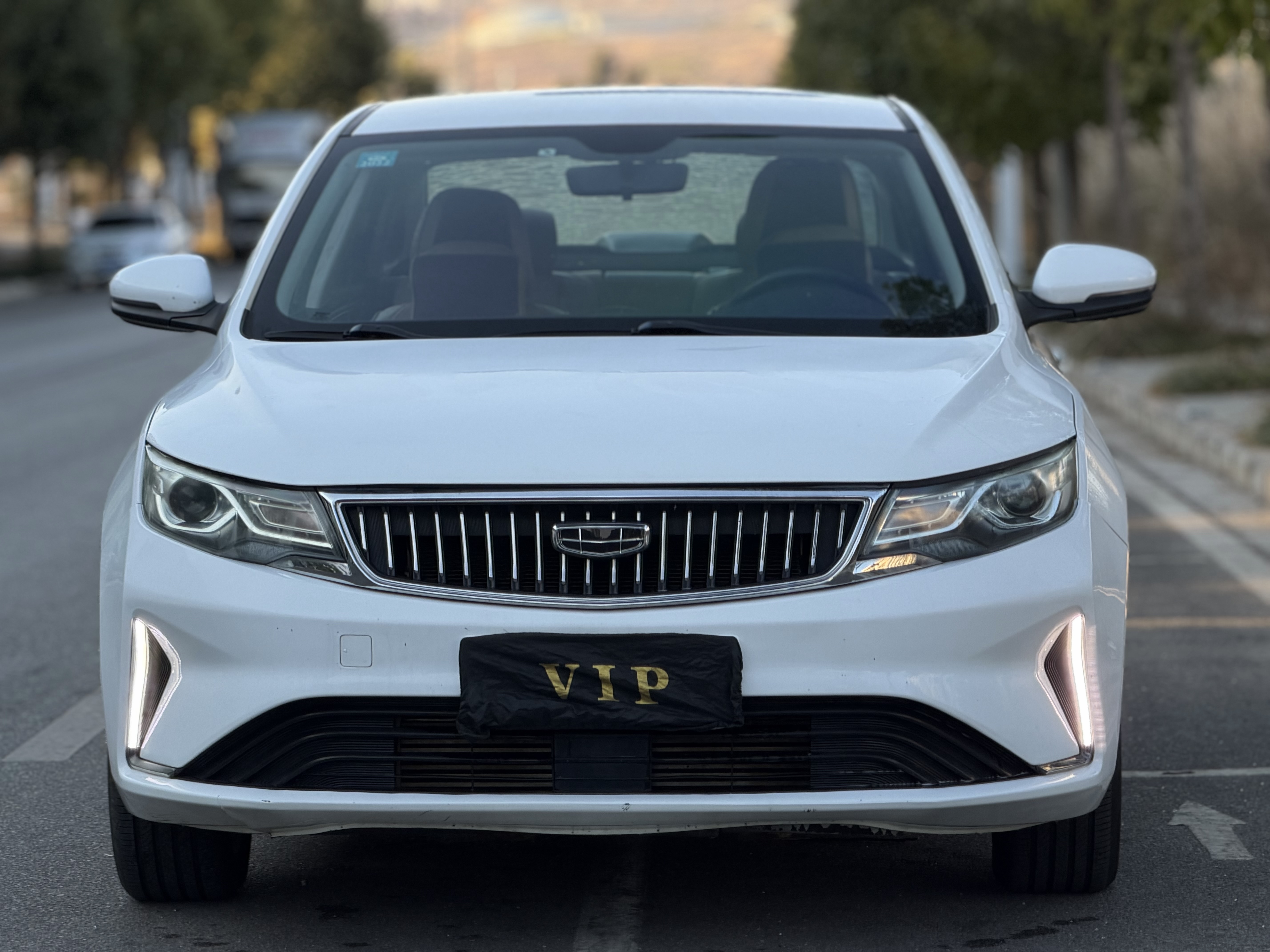 Emgrand GL 2020 #2 Emgrand GL 2020 car image #2