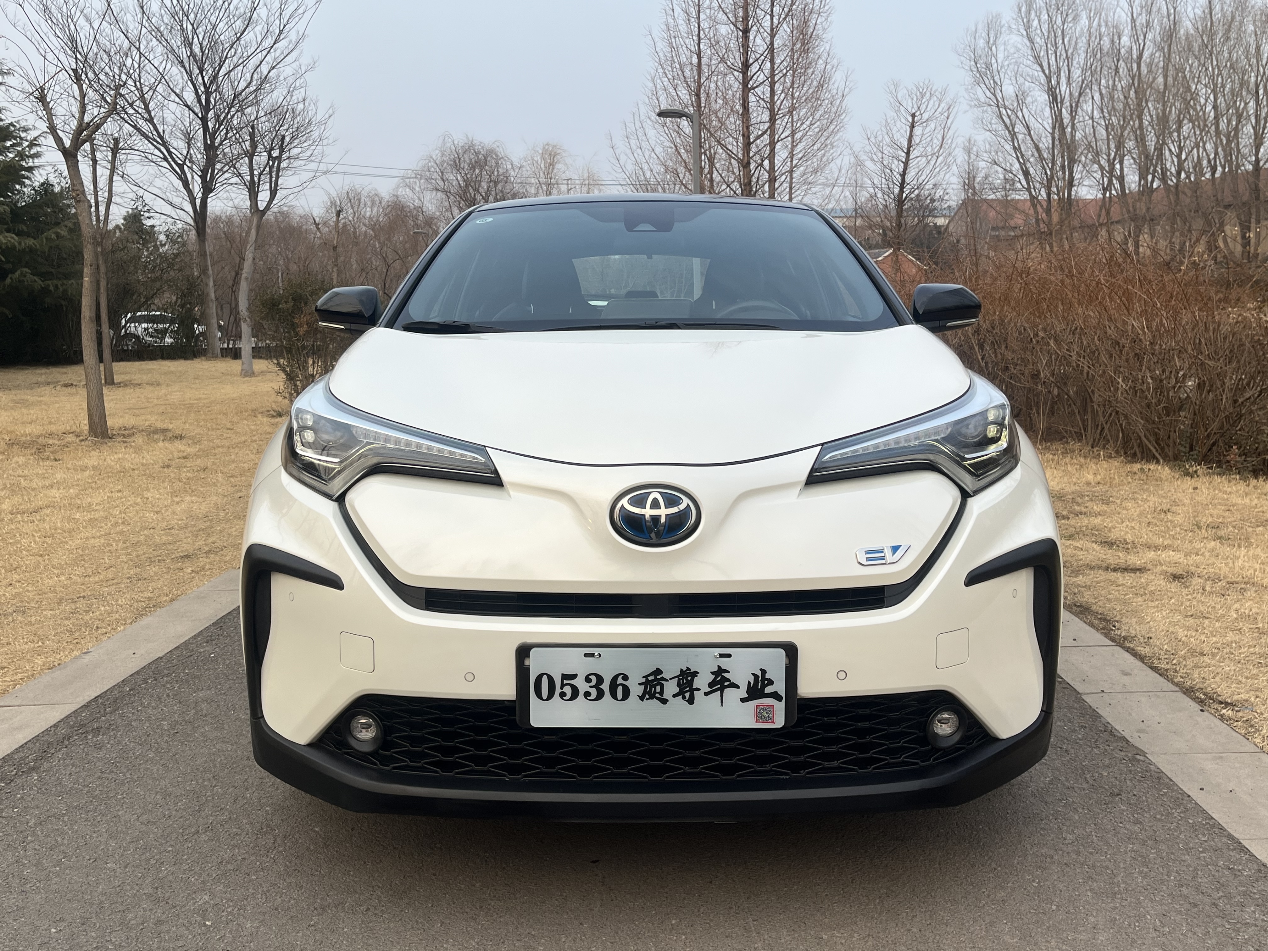Toyota C-HR EV 2020 immagine di auto #2