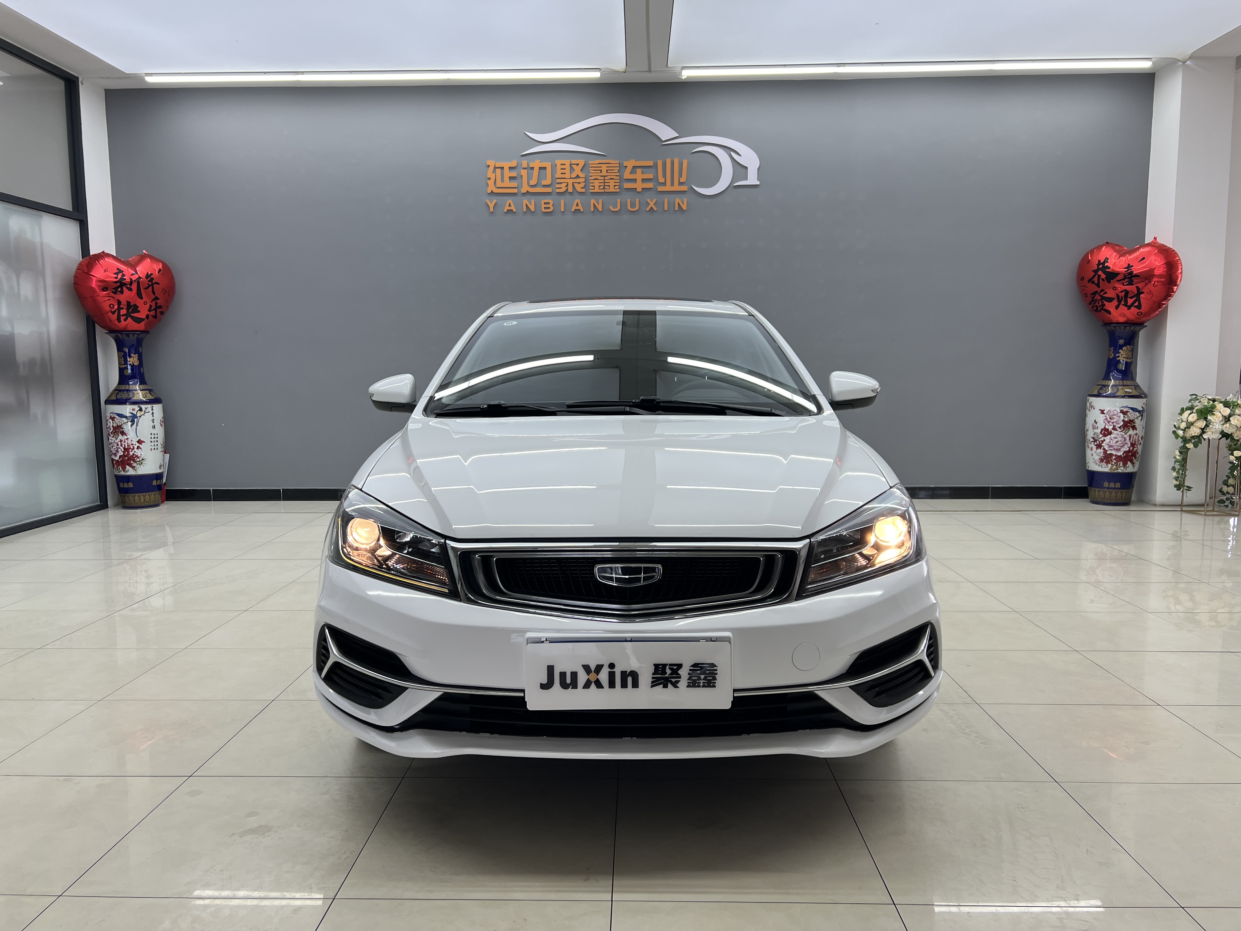 Emgrand 2020 #2 Emgrand 2020 car image #2
