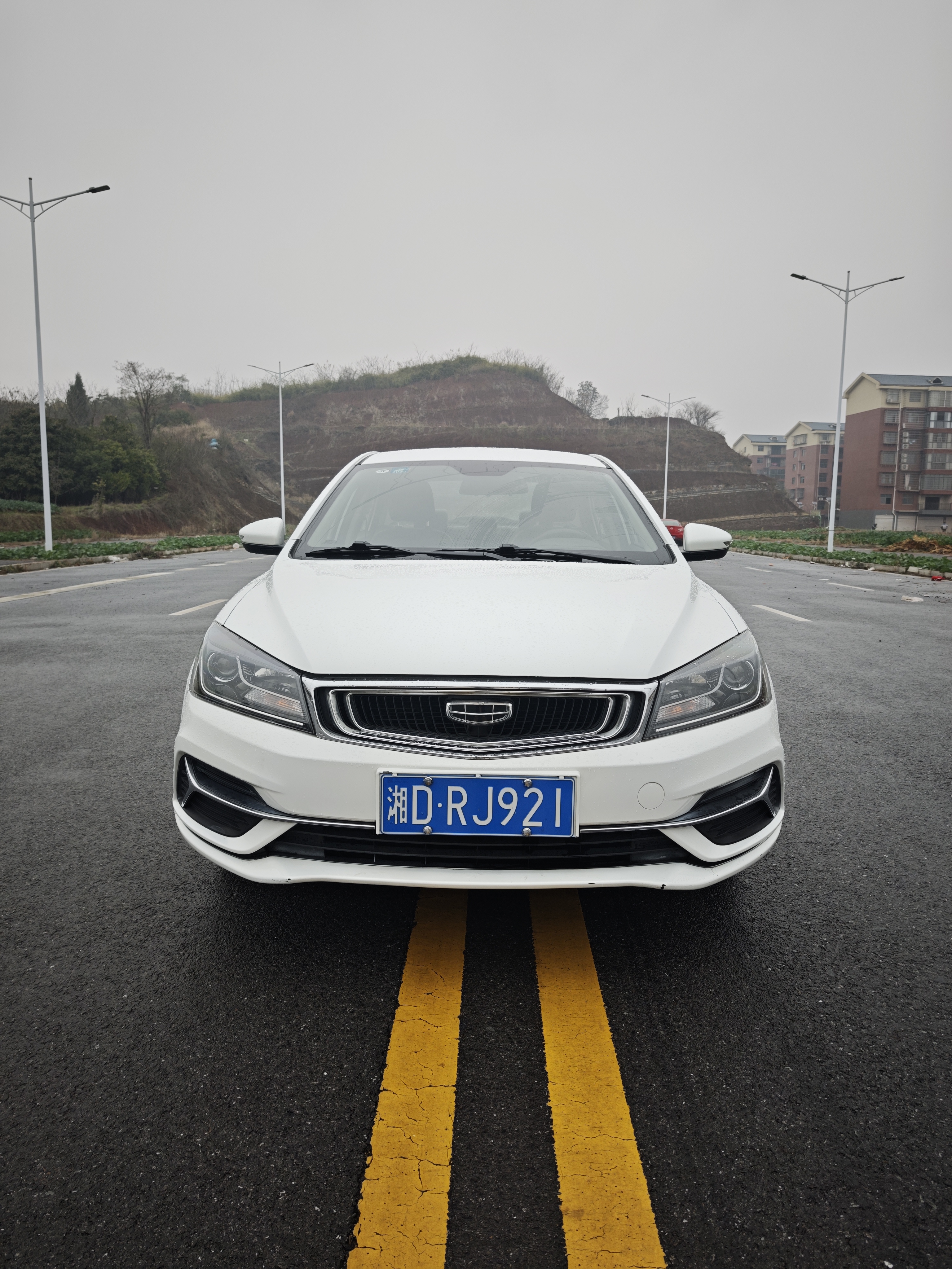 Emgrand 2020 #2 Emgrand 2020 car image #2