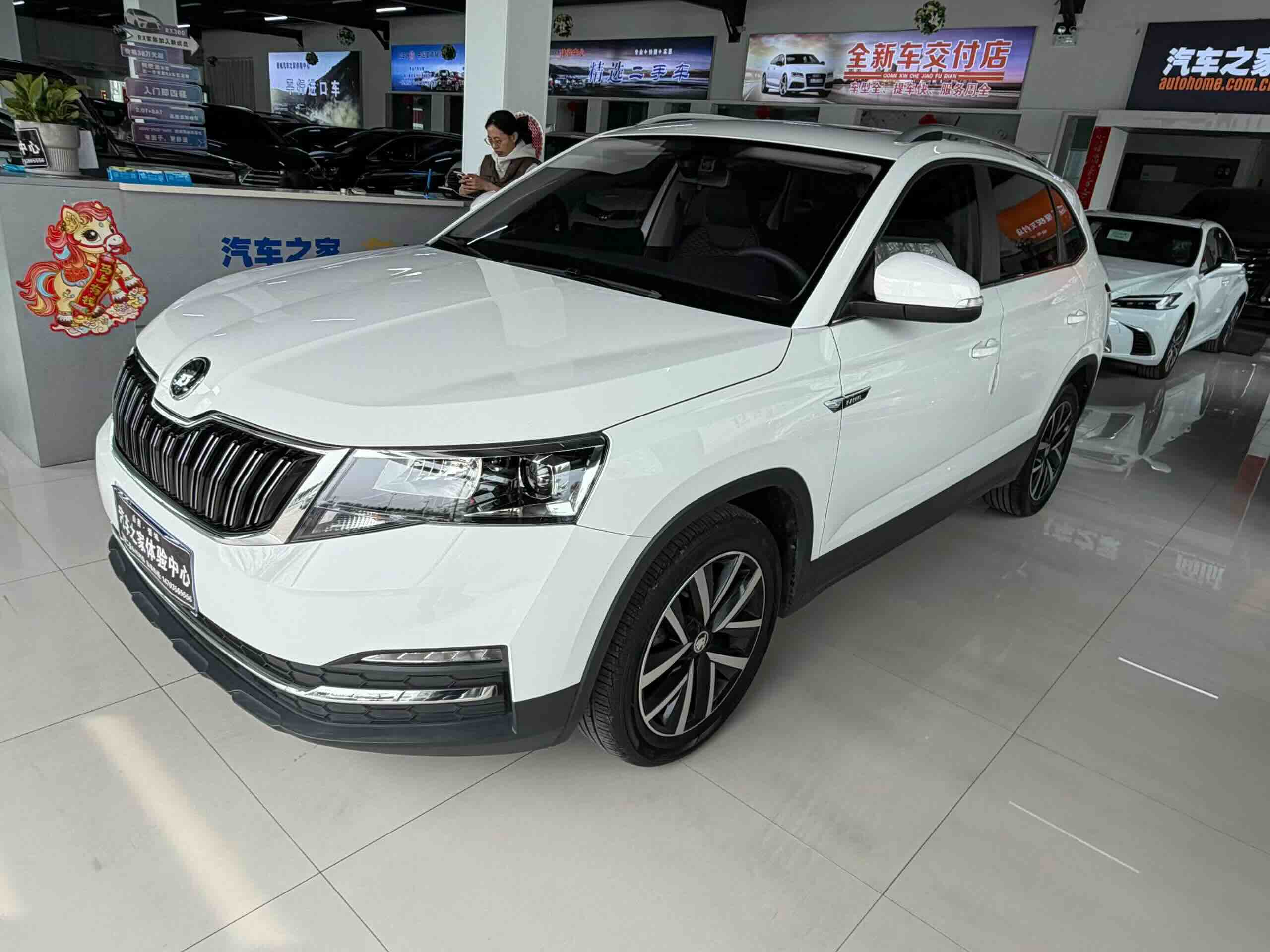 Skoda Kamiq 2020 imagem de carro #2