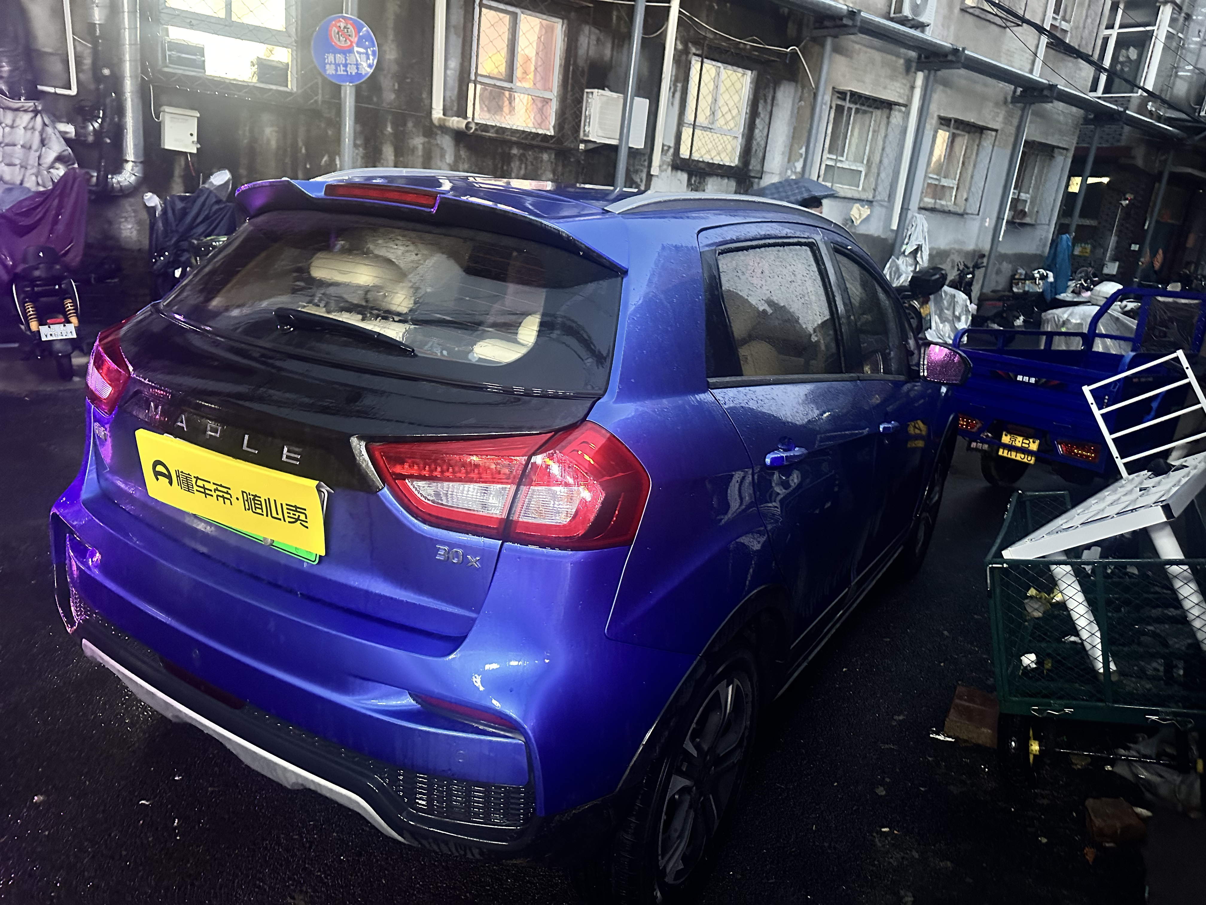 睿蓝汽车 枫叶30X 2020 汽车图片 #2