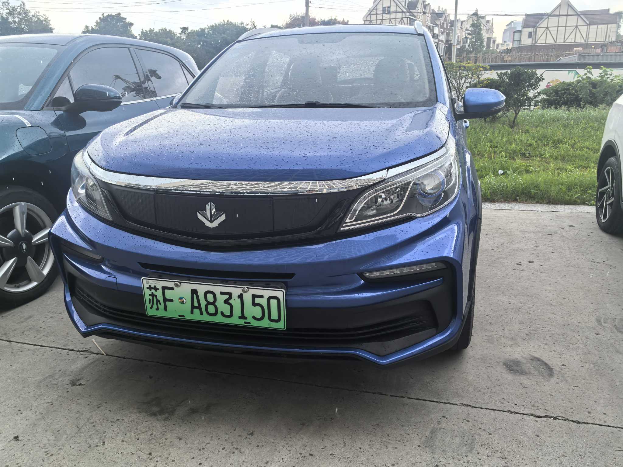 睿蓝汽车 枫叶30X 2020 汽车图片 #2