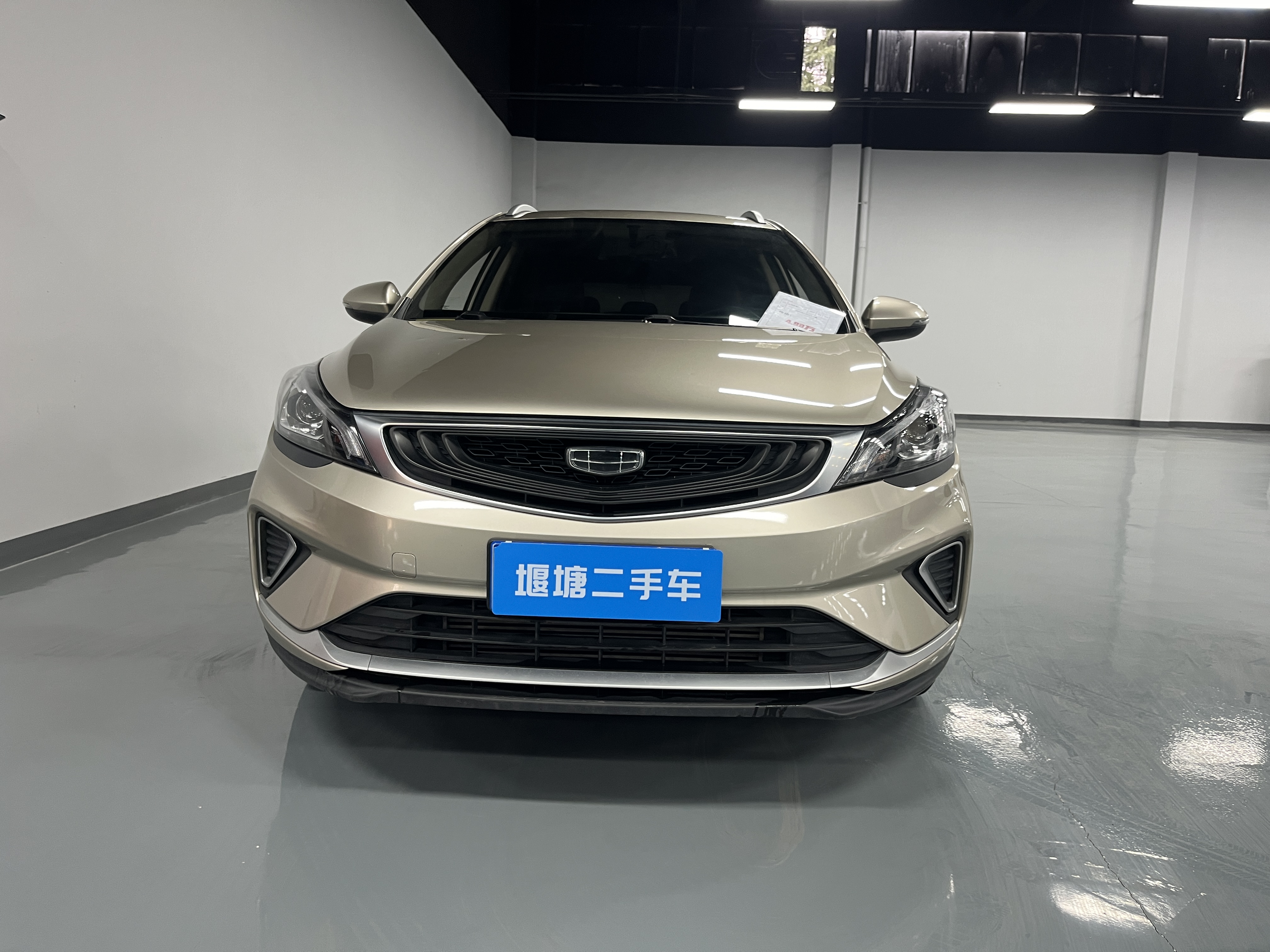 GEELY Emgrand GS 2021 car image #2