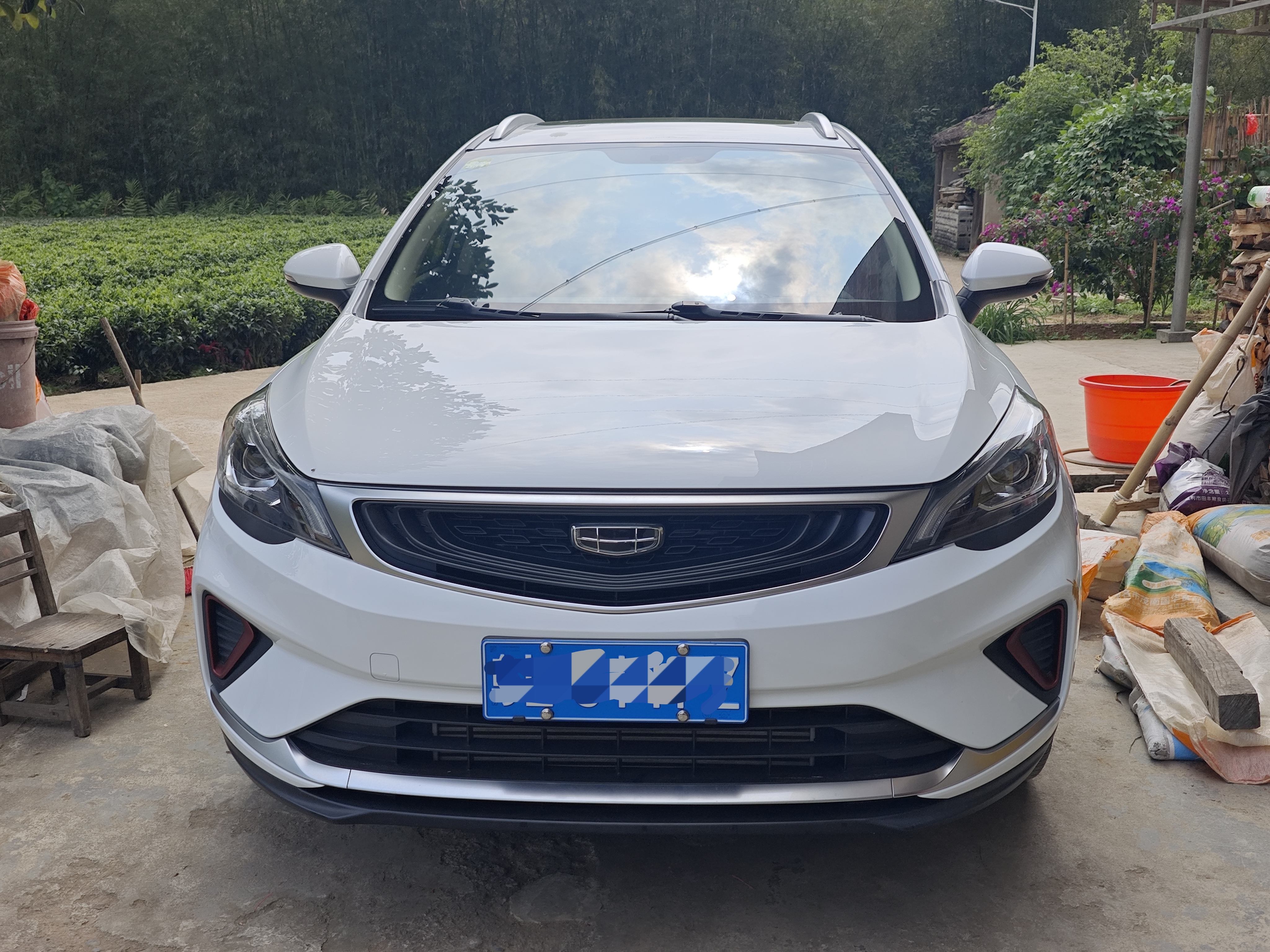 Emgrand GS 2021 car image #2