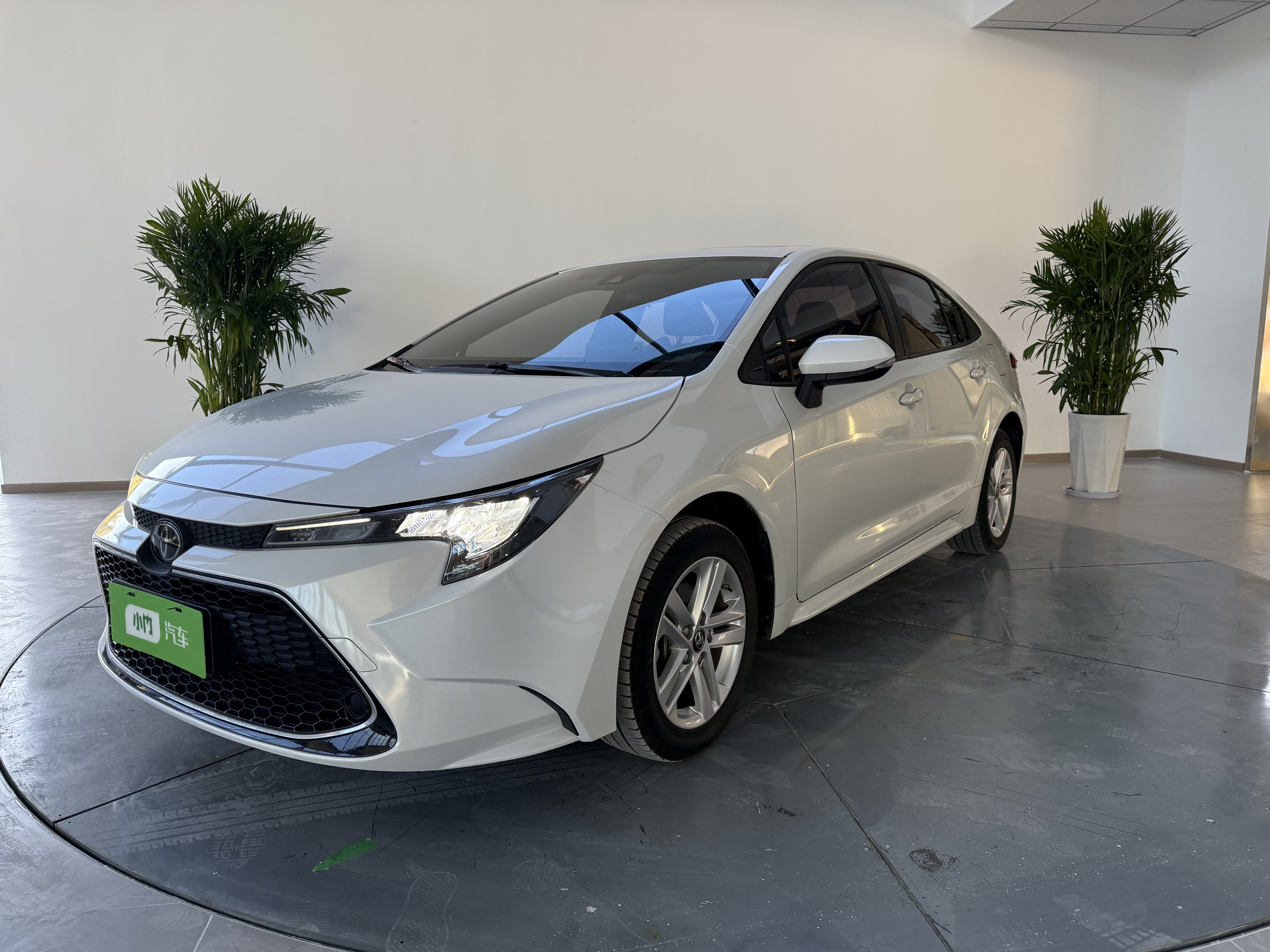 Toyota Levin 2021 imagen de coche #2
