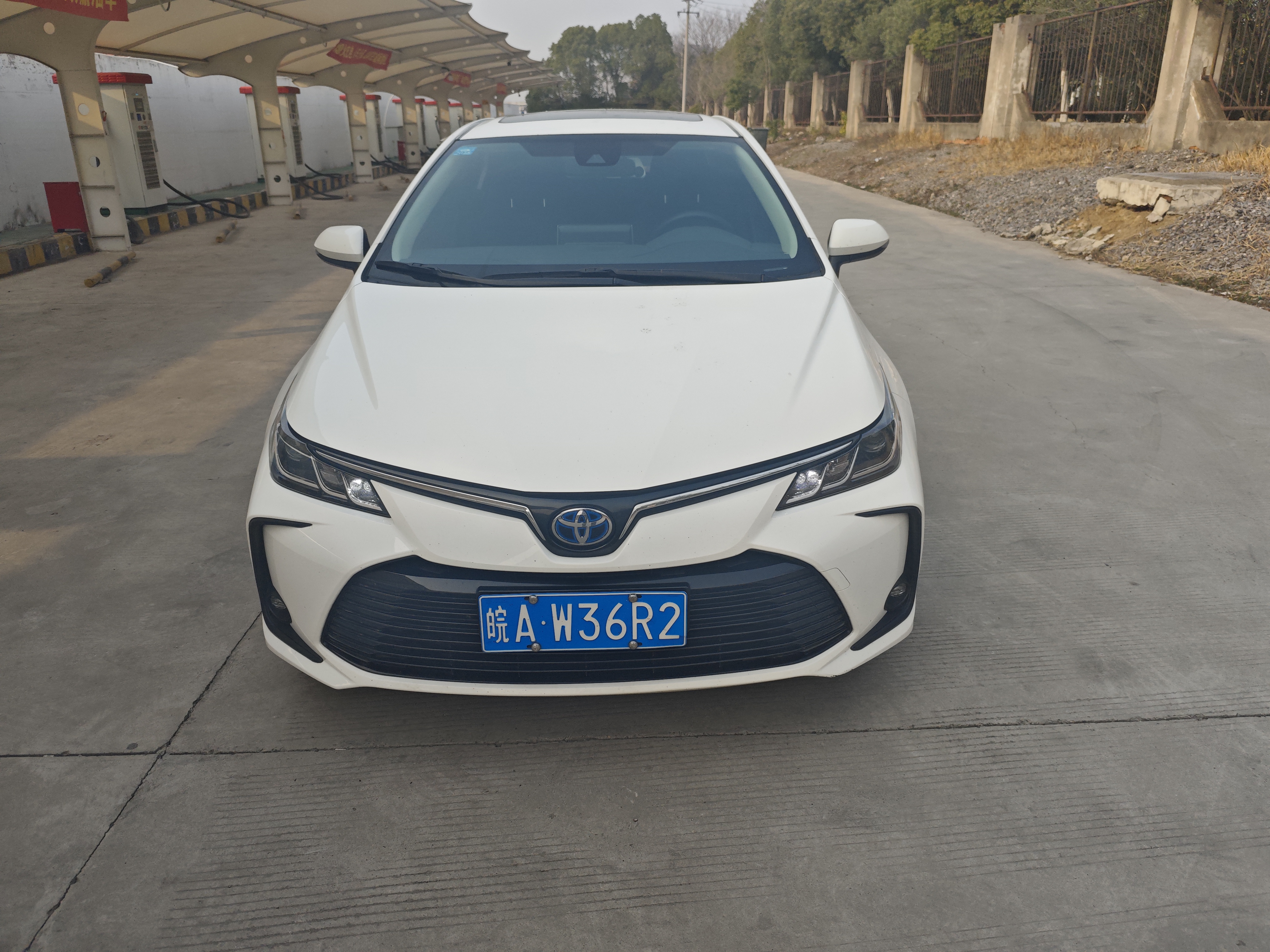 Corolla 2023 immagine di auto #2