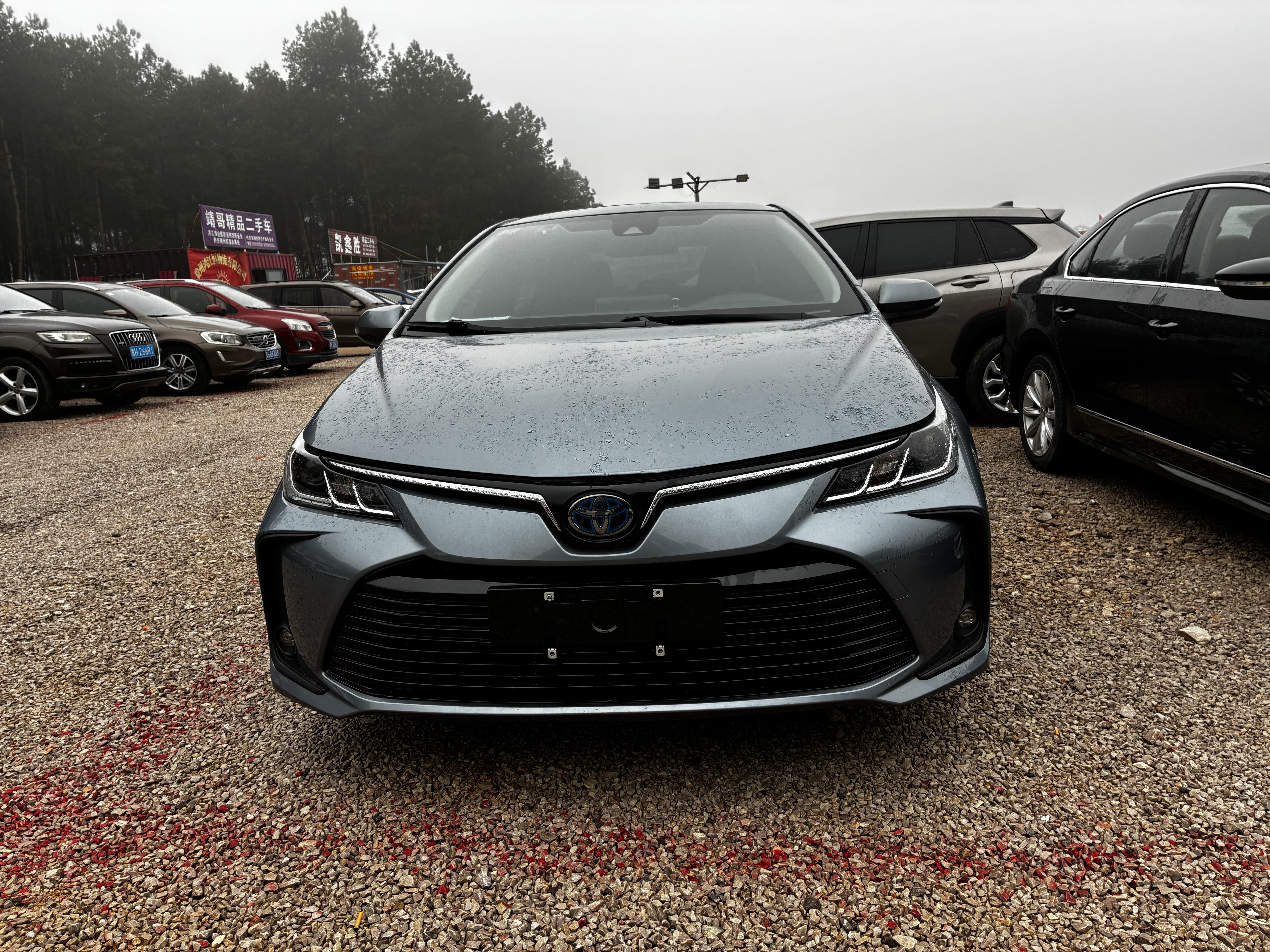 Corolla 2021 #2 Corolla 2021 car image #2