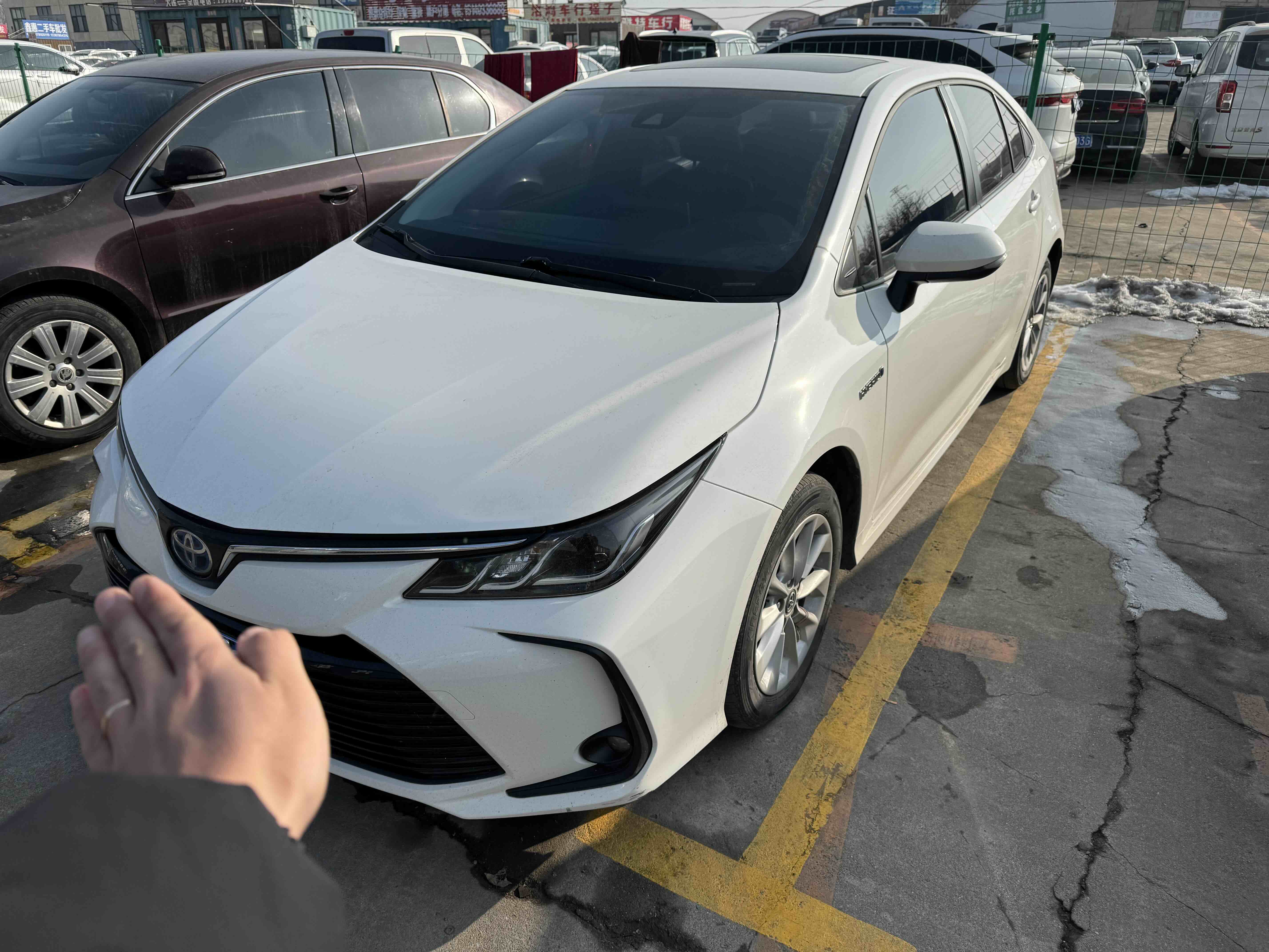 Toyota Corolla 2023 #2 Toyota Corolla 2023 car image #2