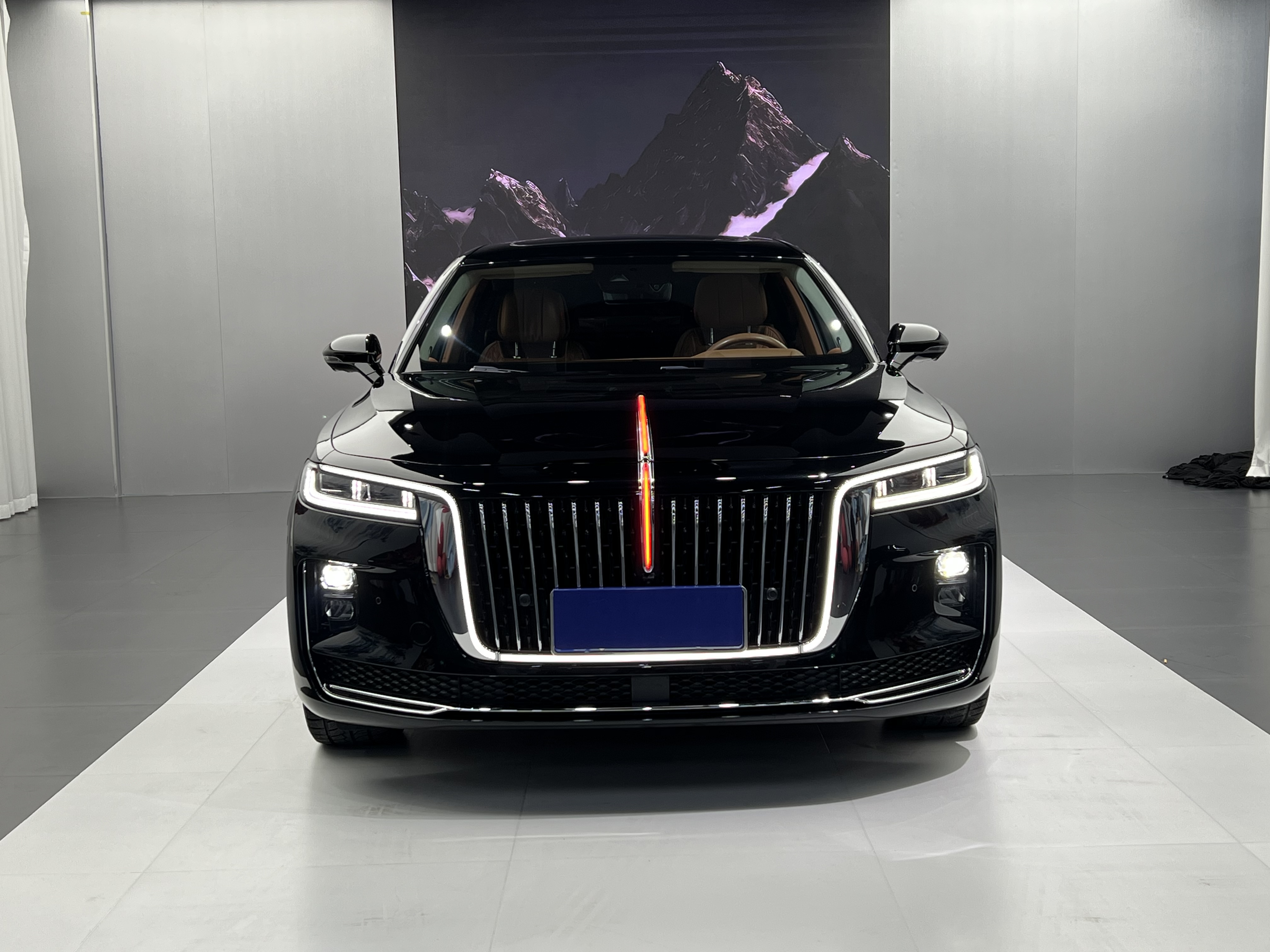 HongQi H9 2021 car image #2