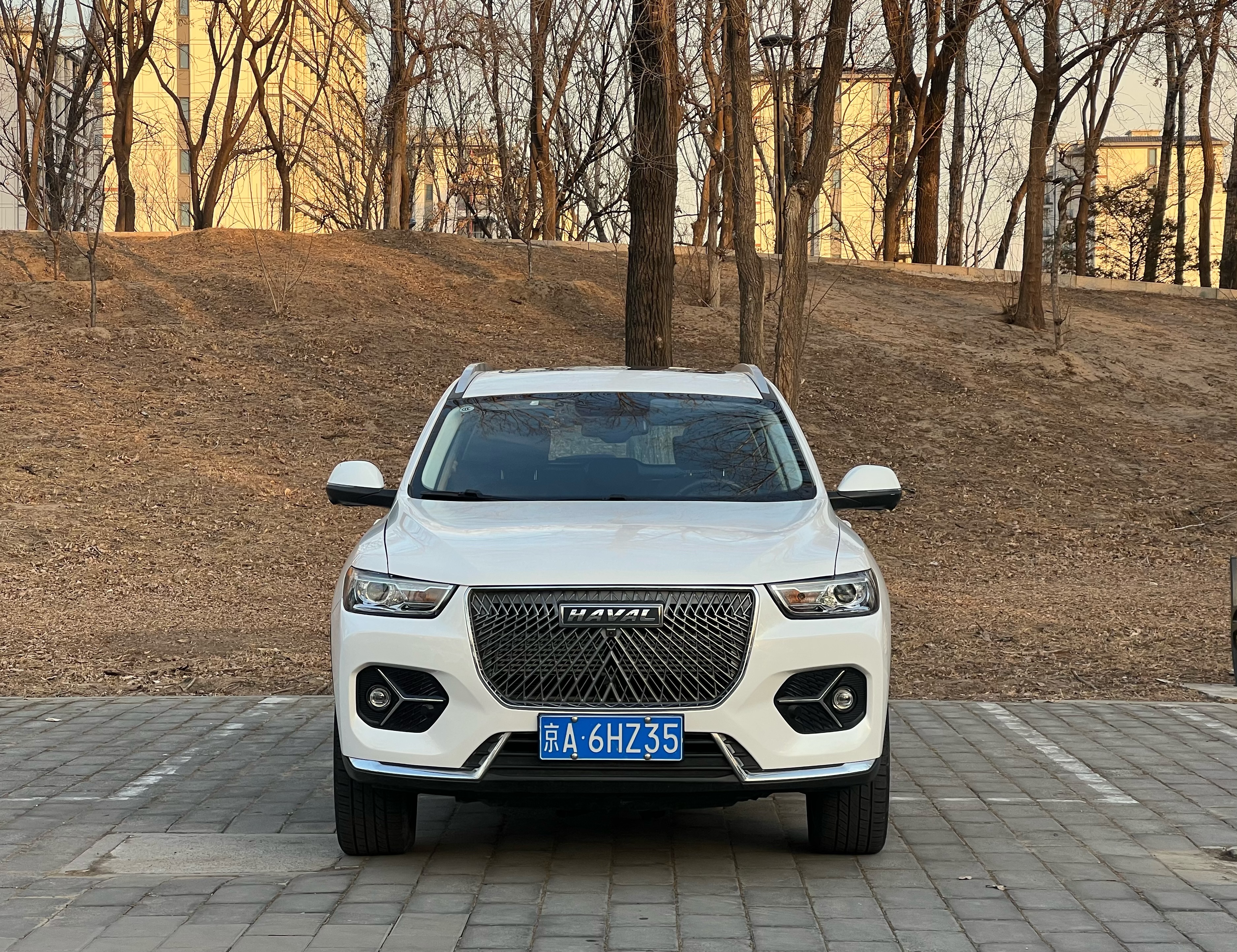 Haval H6 2020 car image #2