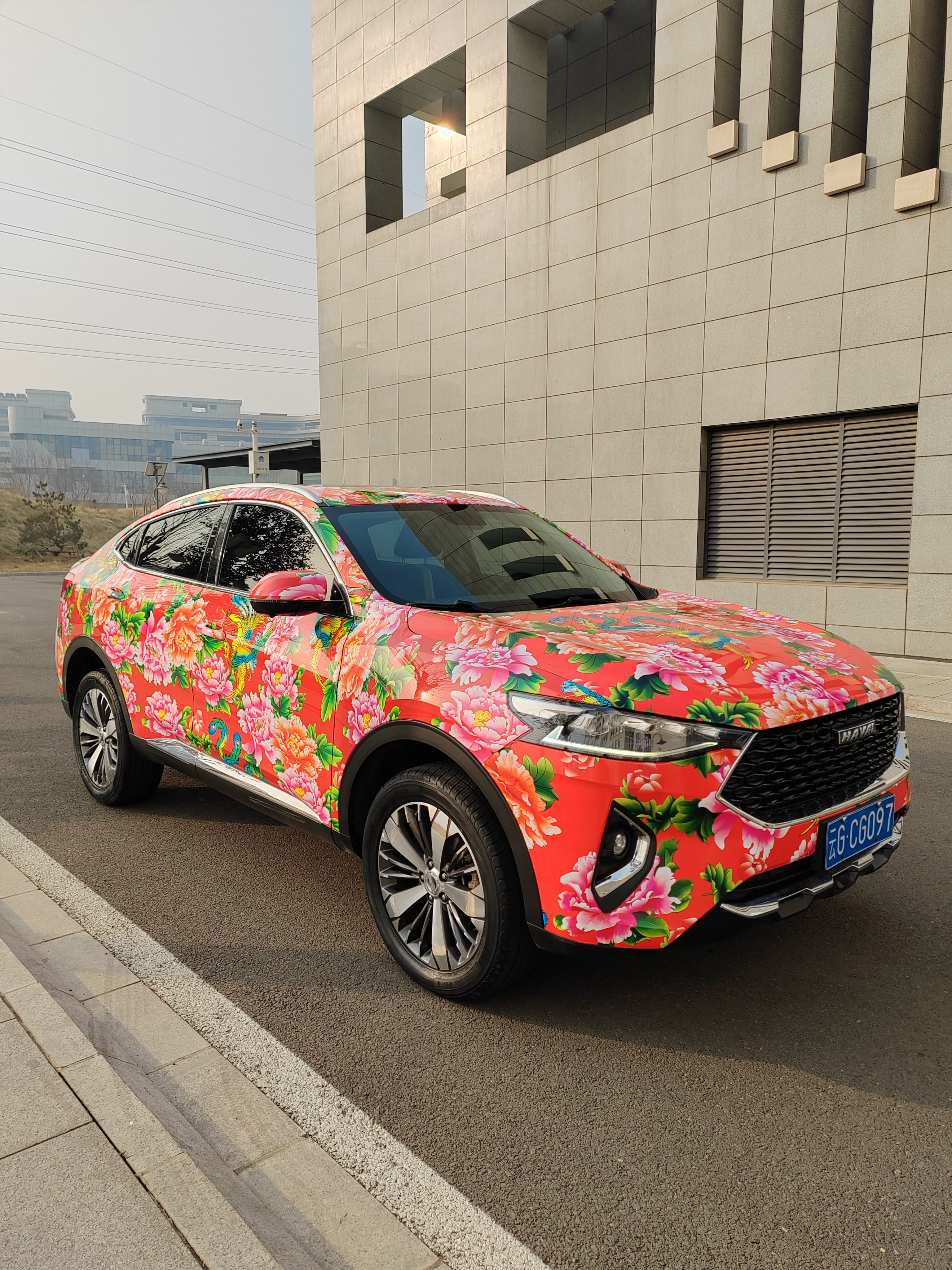 Haval F7x 2019 car image #2