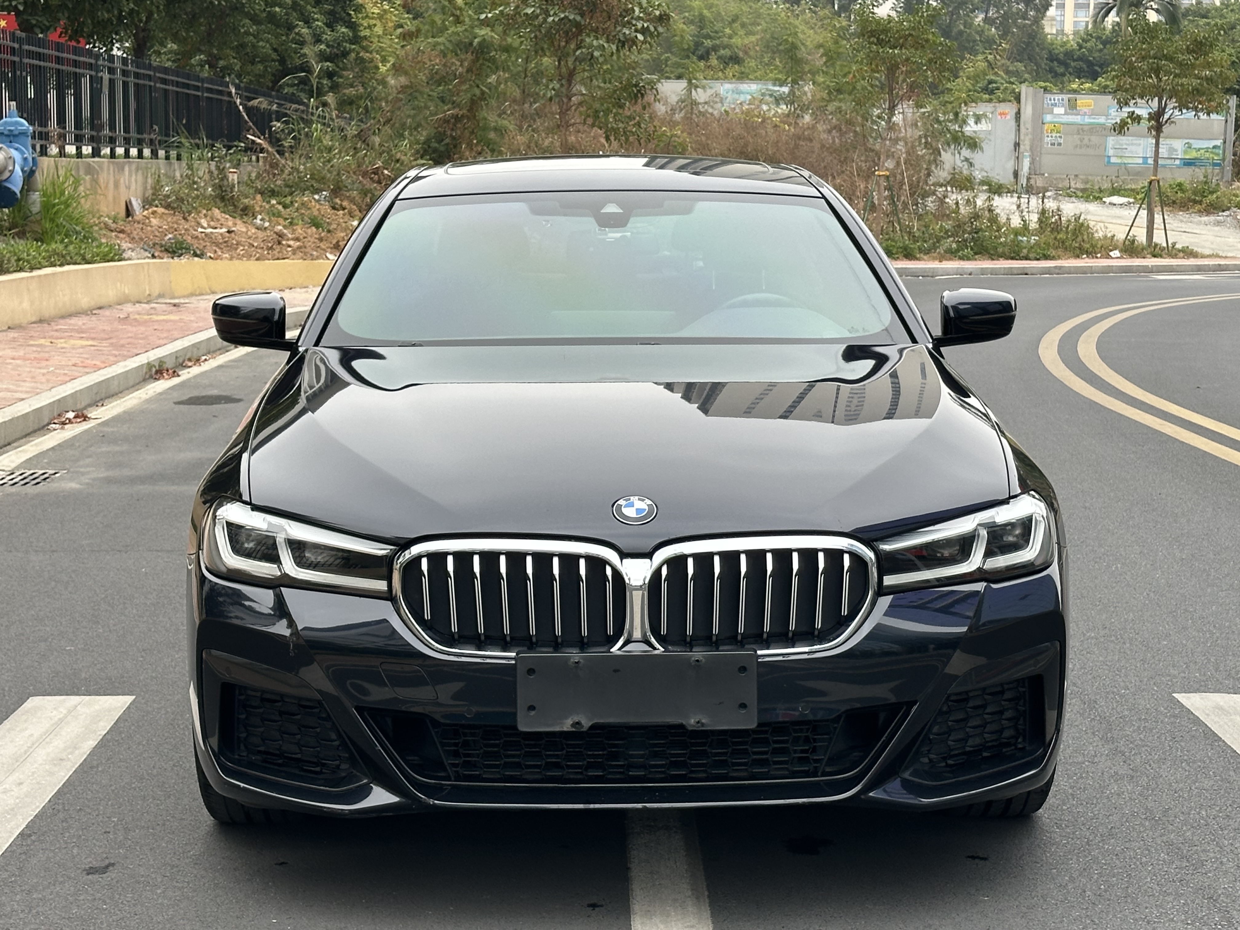 BMW 5 Series 2020 car image #2