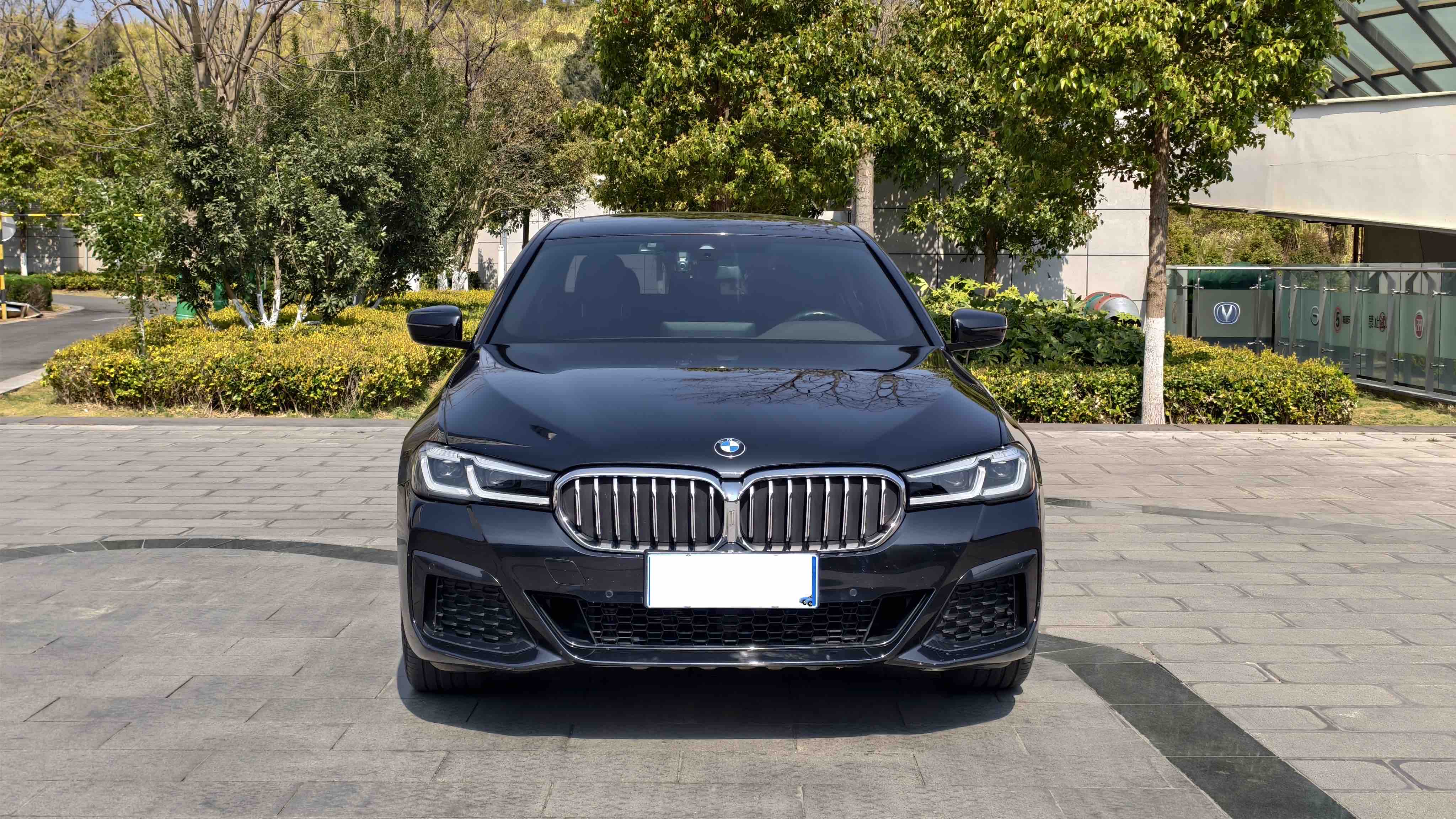 BMW 5 Series 2021 car image #2