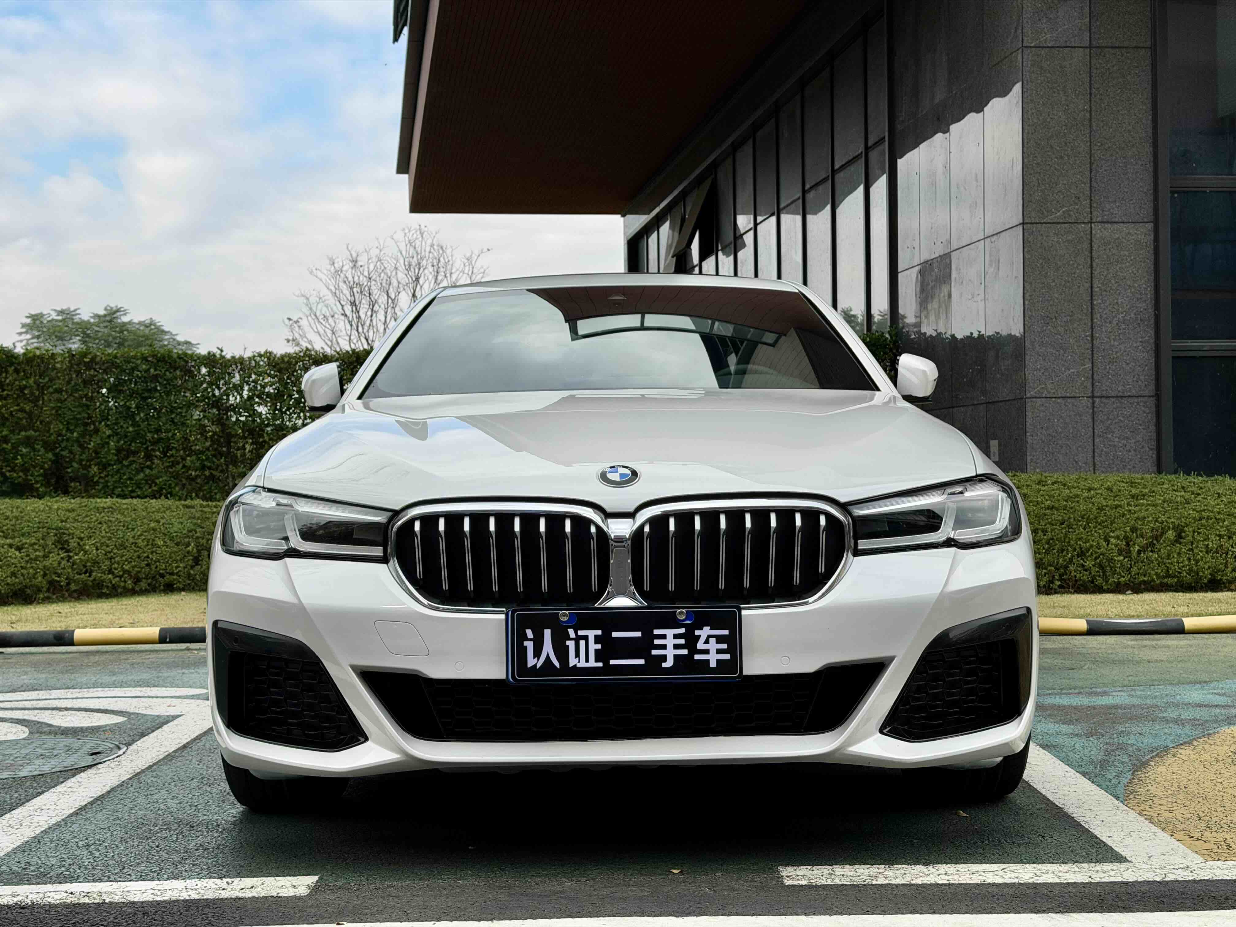 BMW 5 Series 2021 car image #2