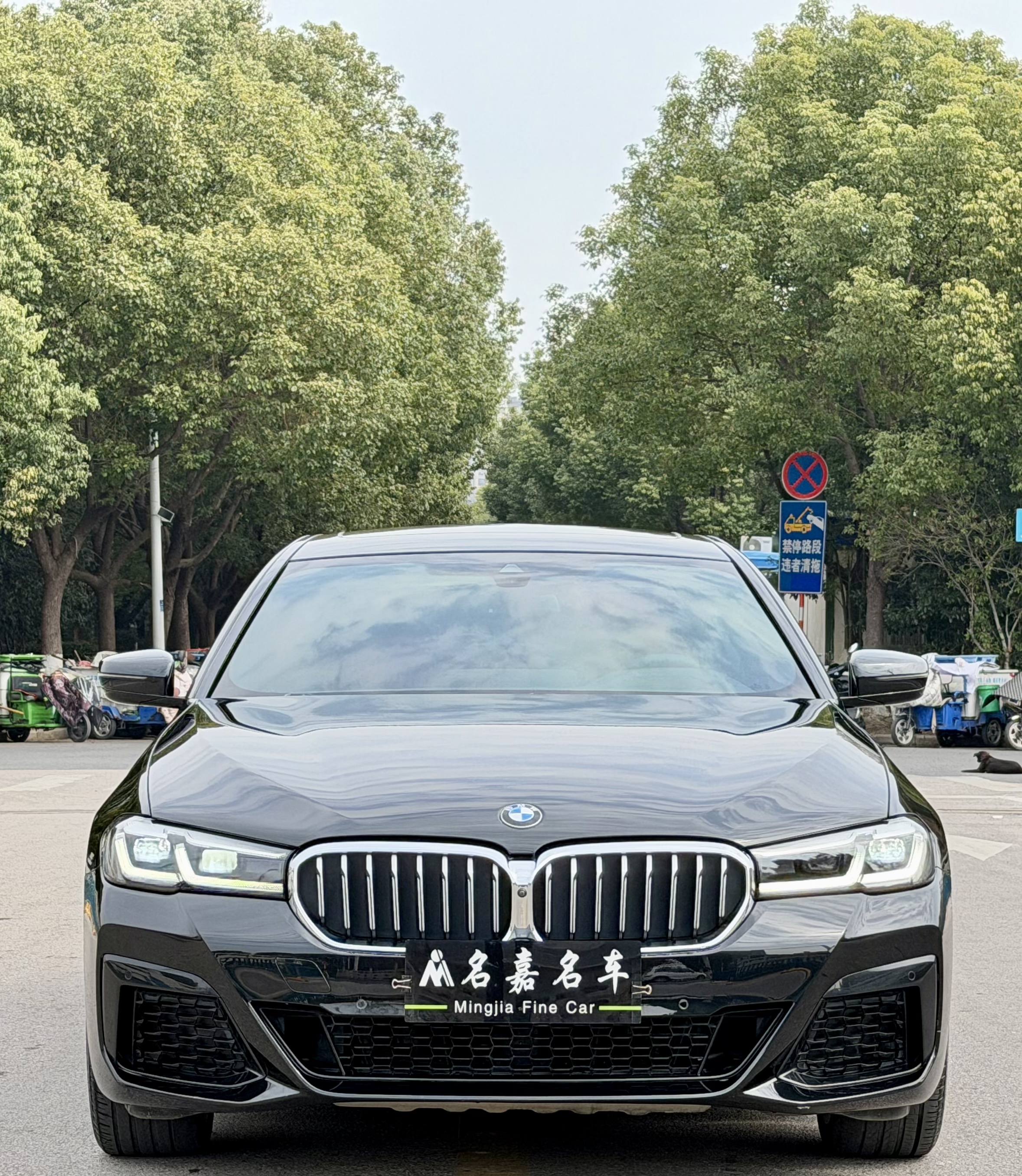BMW 5 Series 2021 car image #2