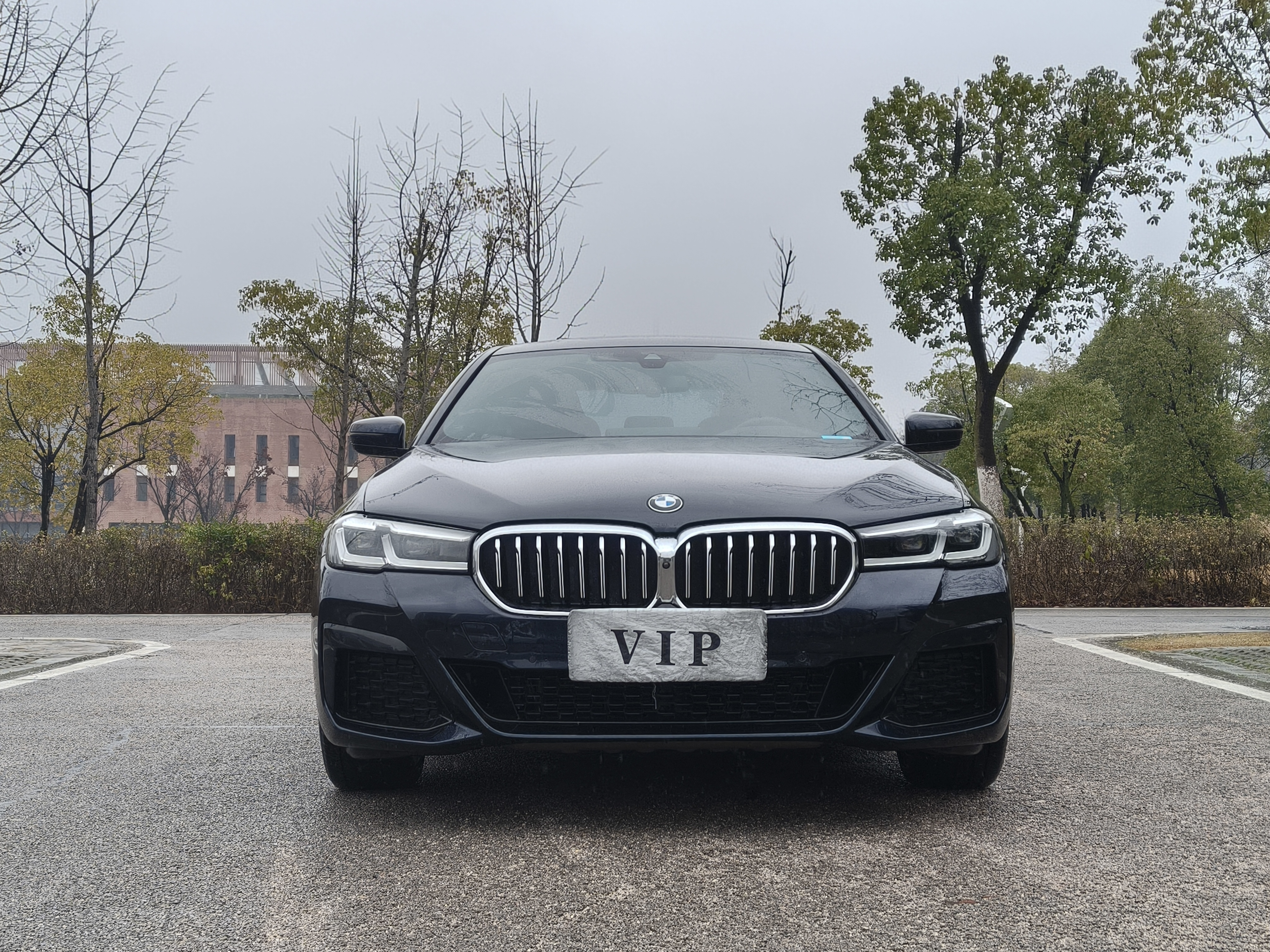 BMW 5 Series 2021 car image #2