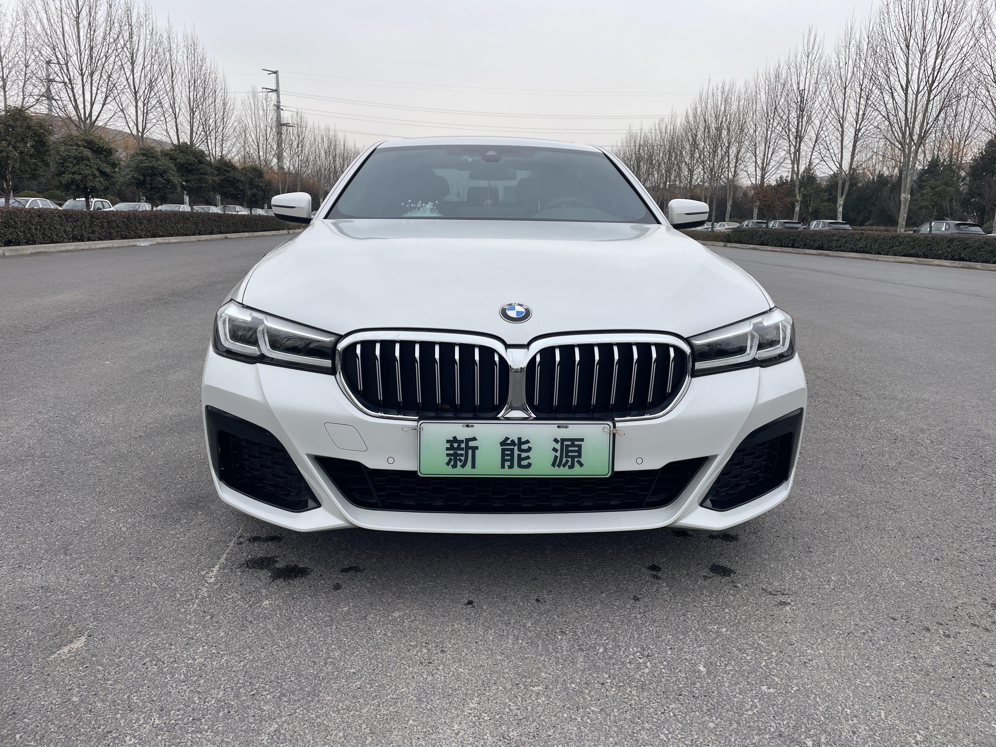 BMW 5 Series New Energy 2021 car image #2