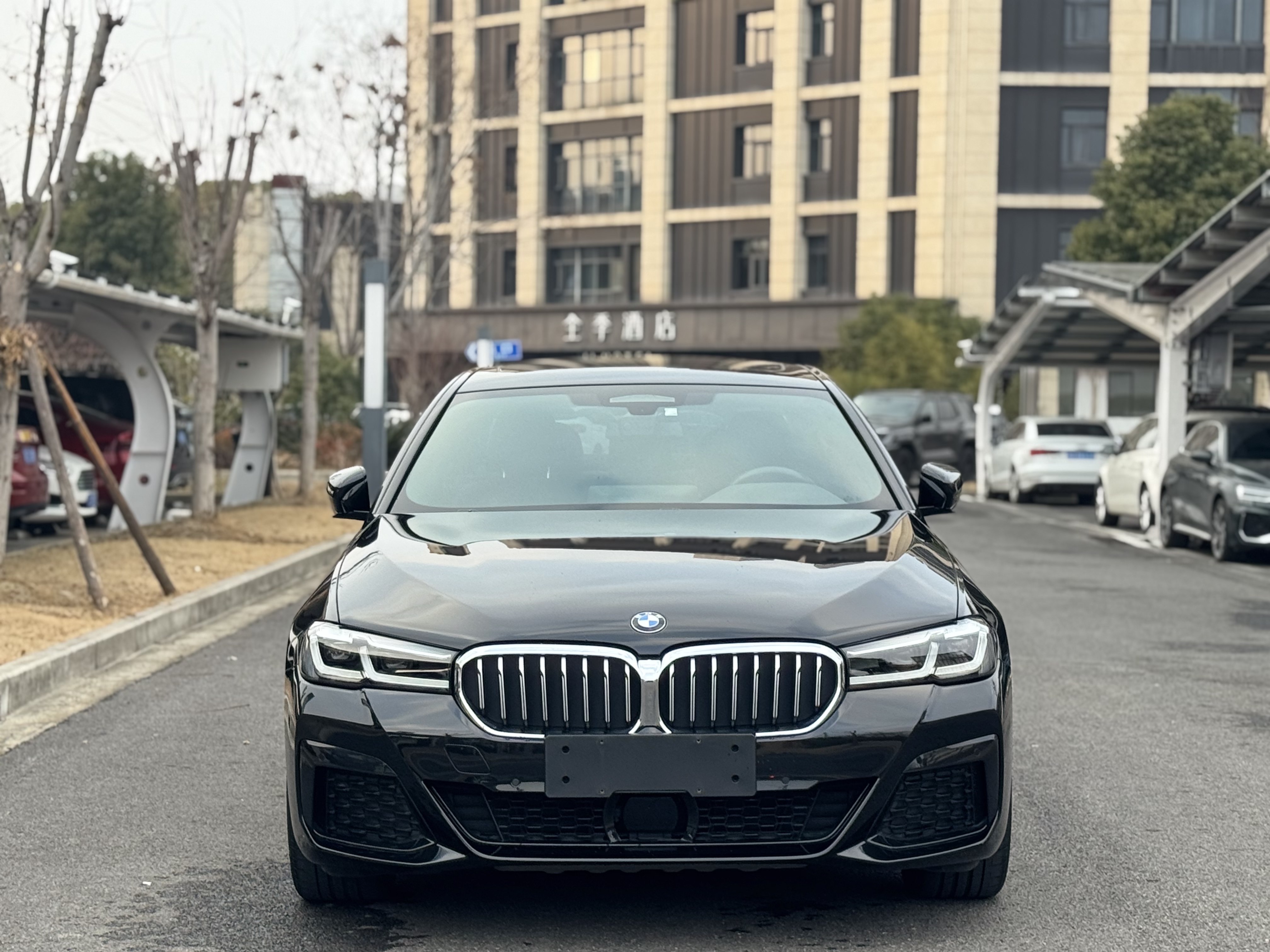 BMW 5 Series New Energy 2021 car image #2