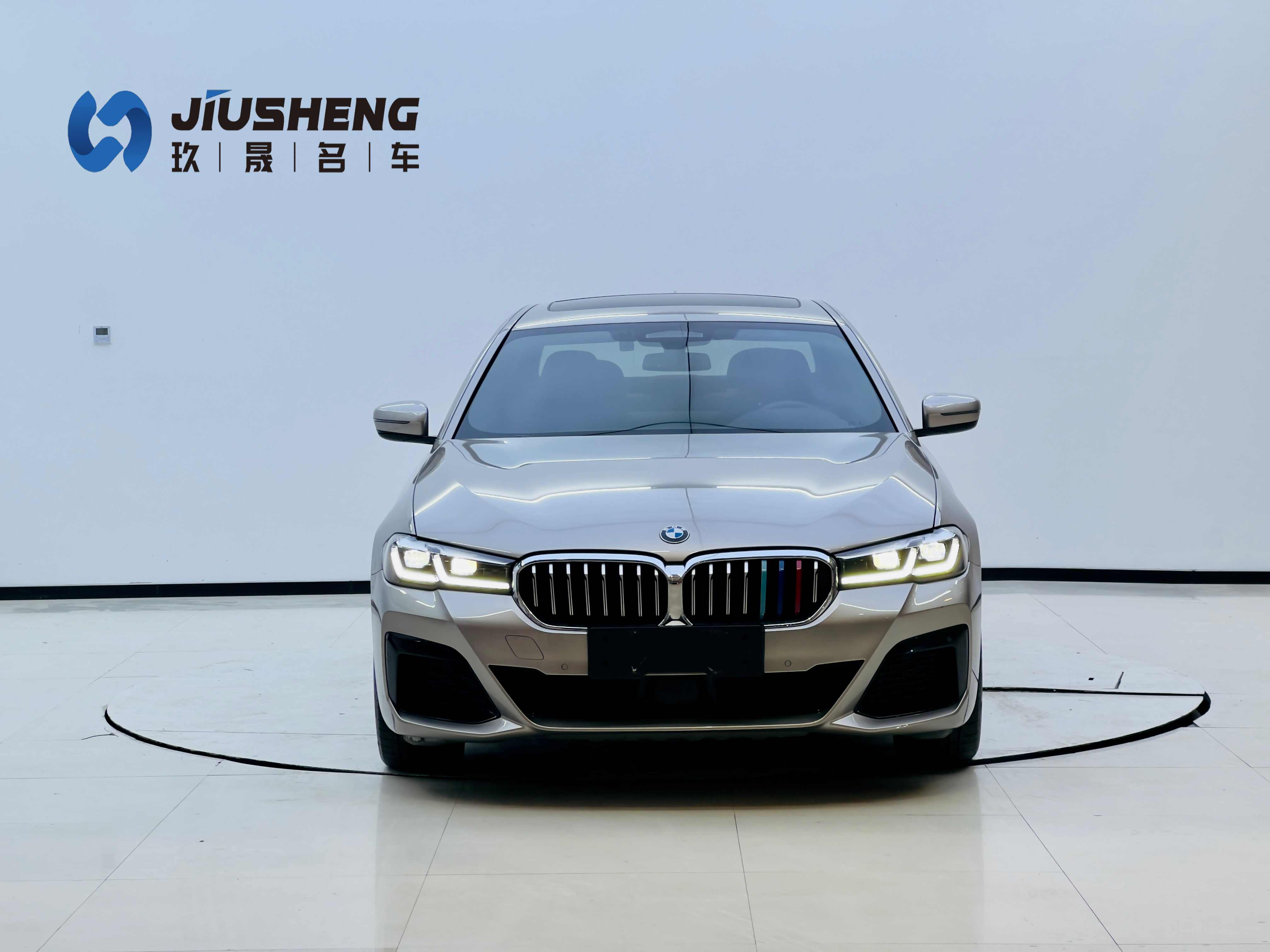 BMW 5 Series New Energy 2021 car image #2