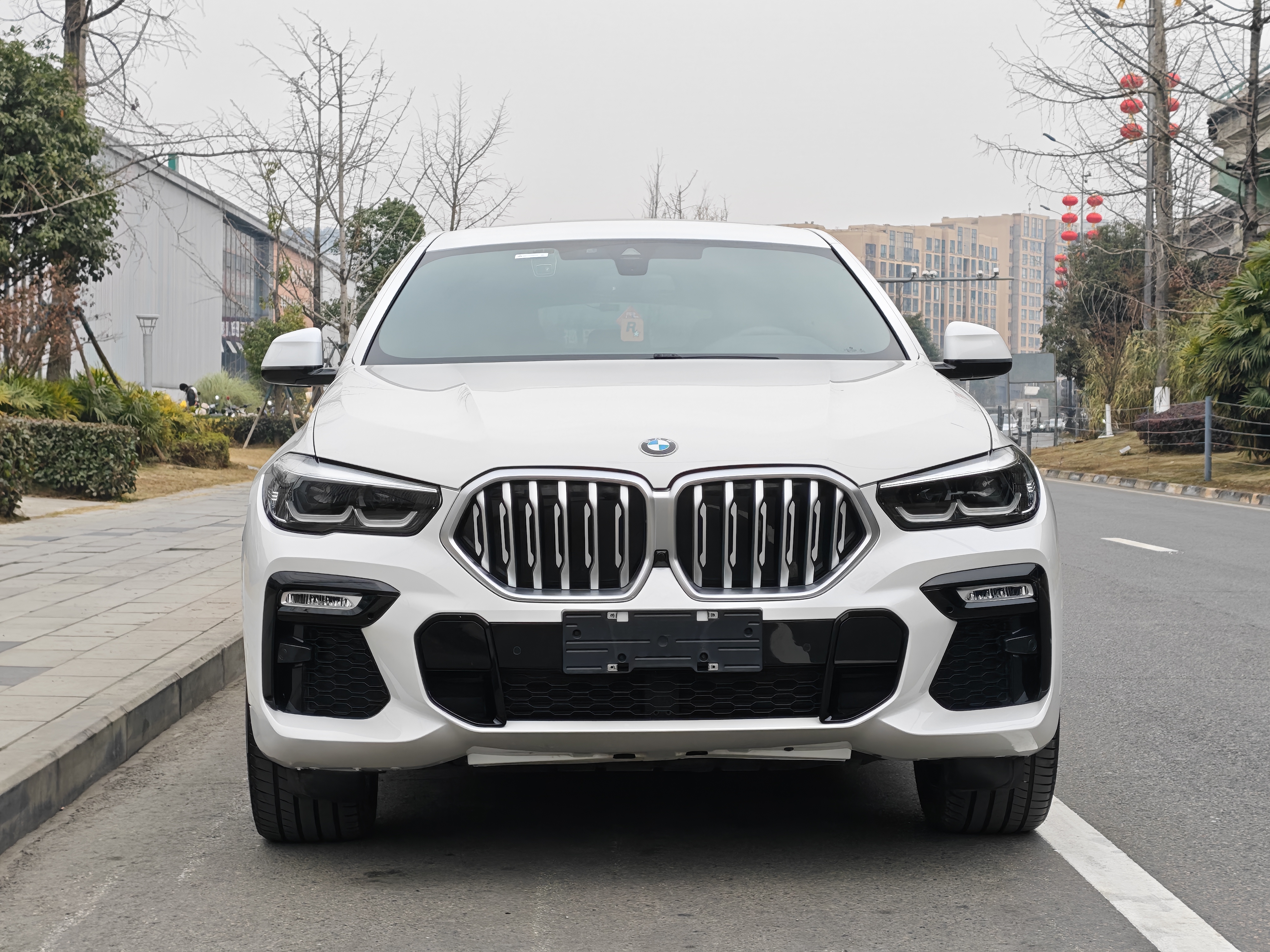 BMW X6 2021 car image #2