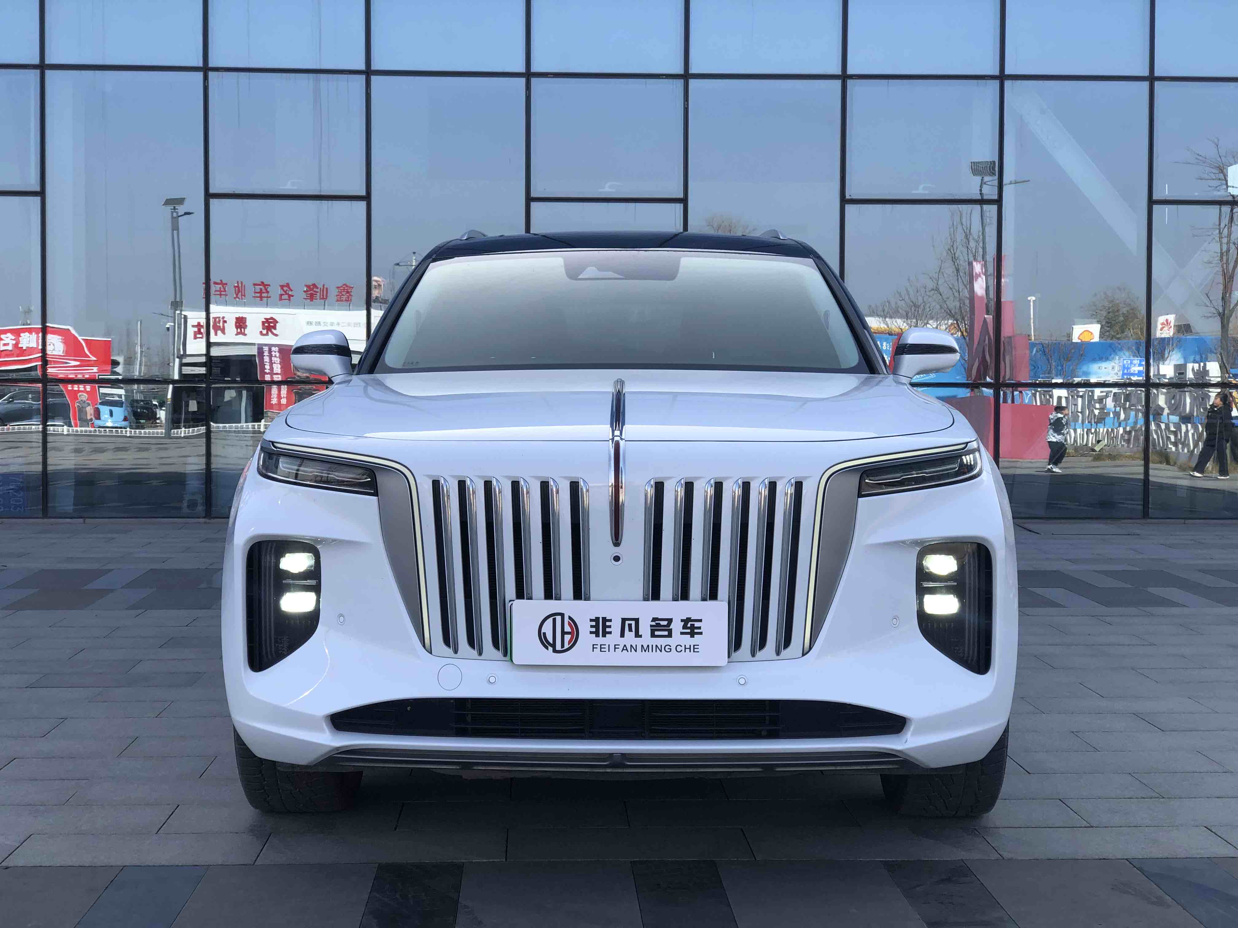 HongQi E-HS9 2021 image de voiture #2
