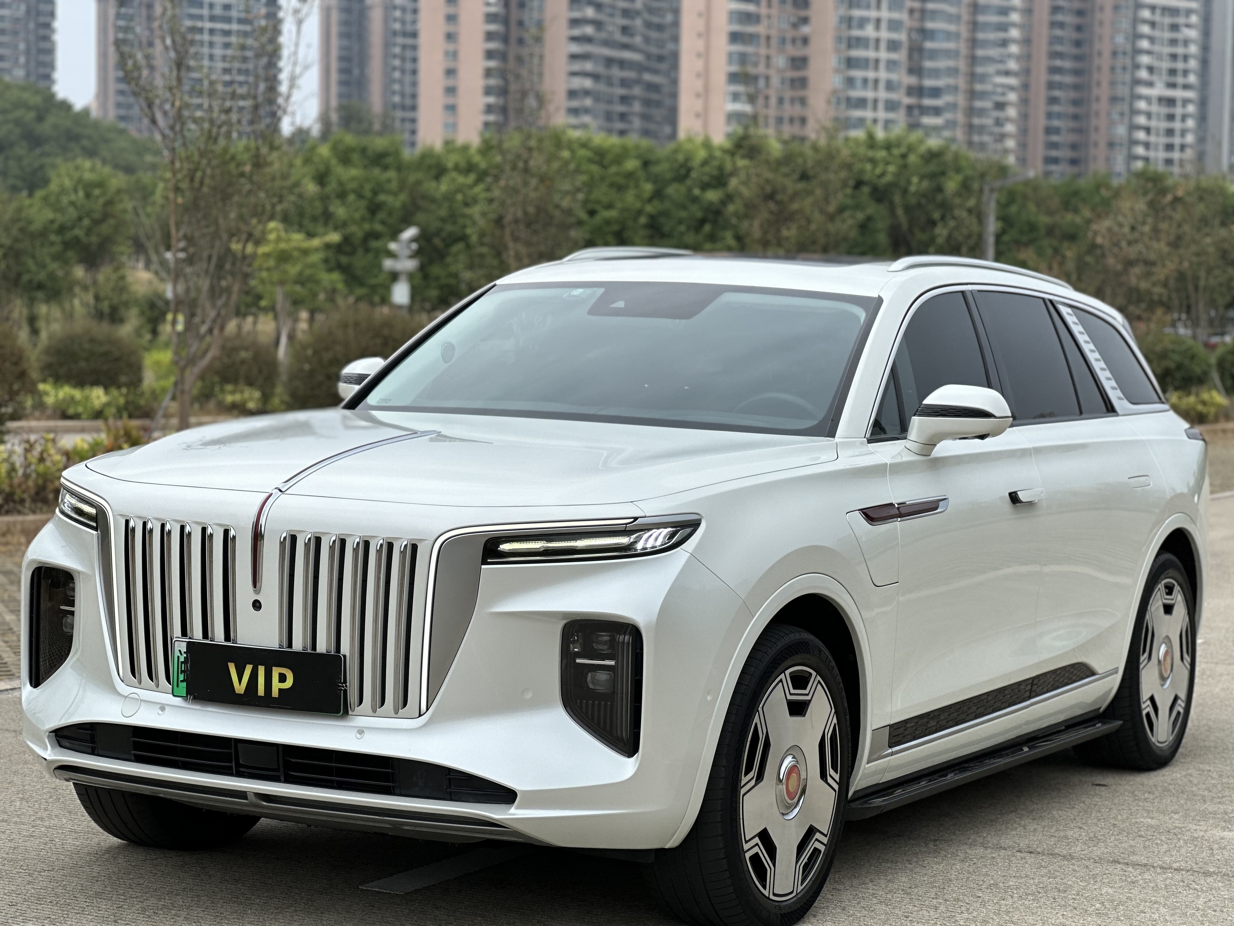 HongQi E-HS9 2021 #2 HongQi E-HS9 2021 immagine di auto #2