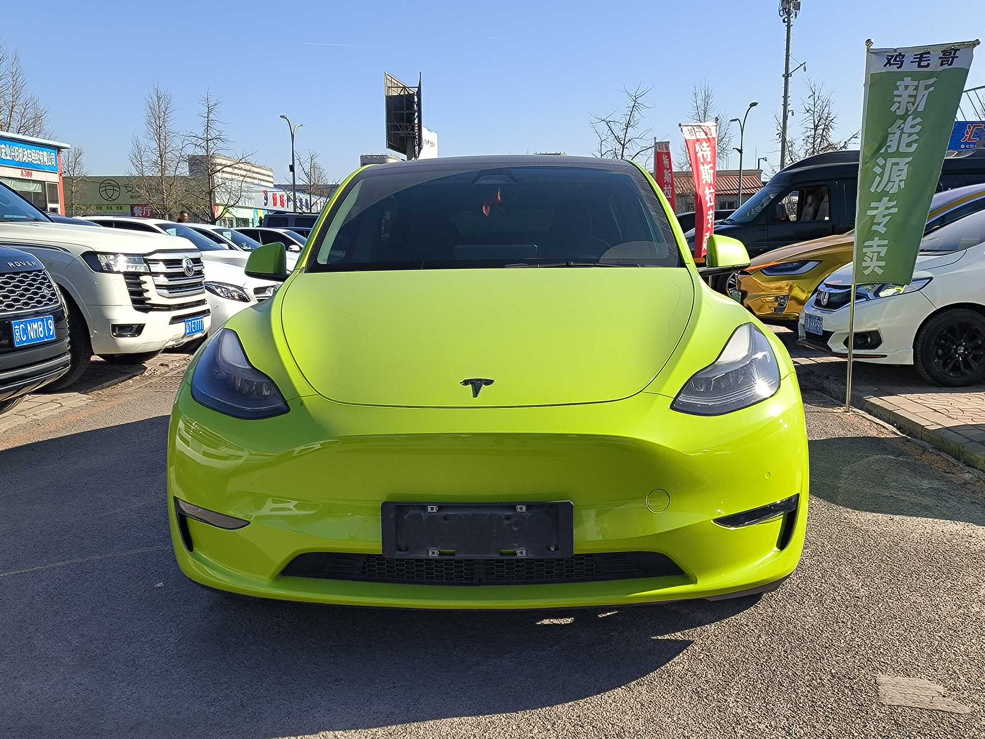 Tesla Model Y 2021 #2 Tesla Model Y 2021 car image #2