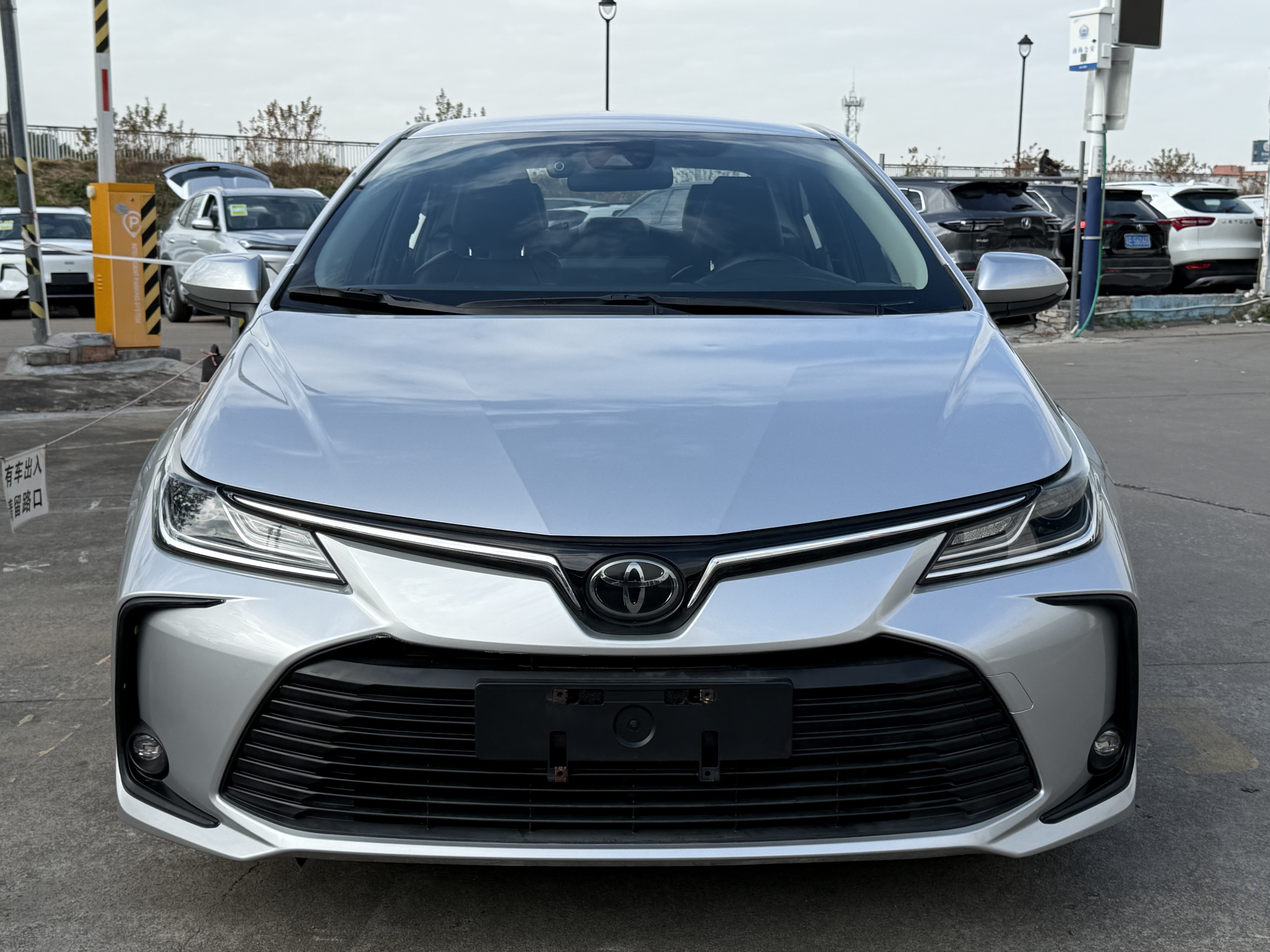 Corolla 2021 car image #2
