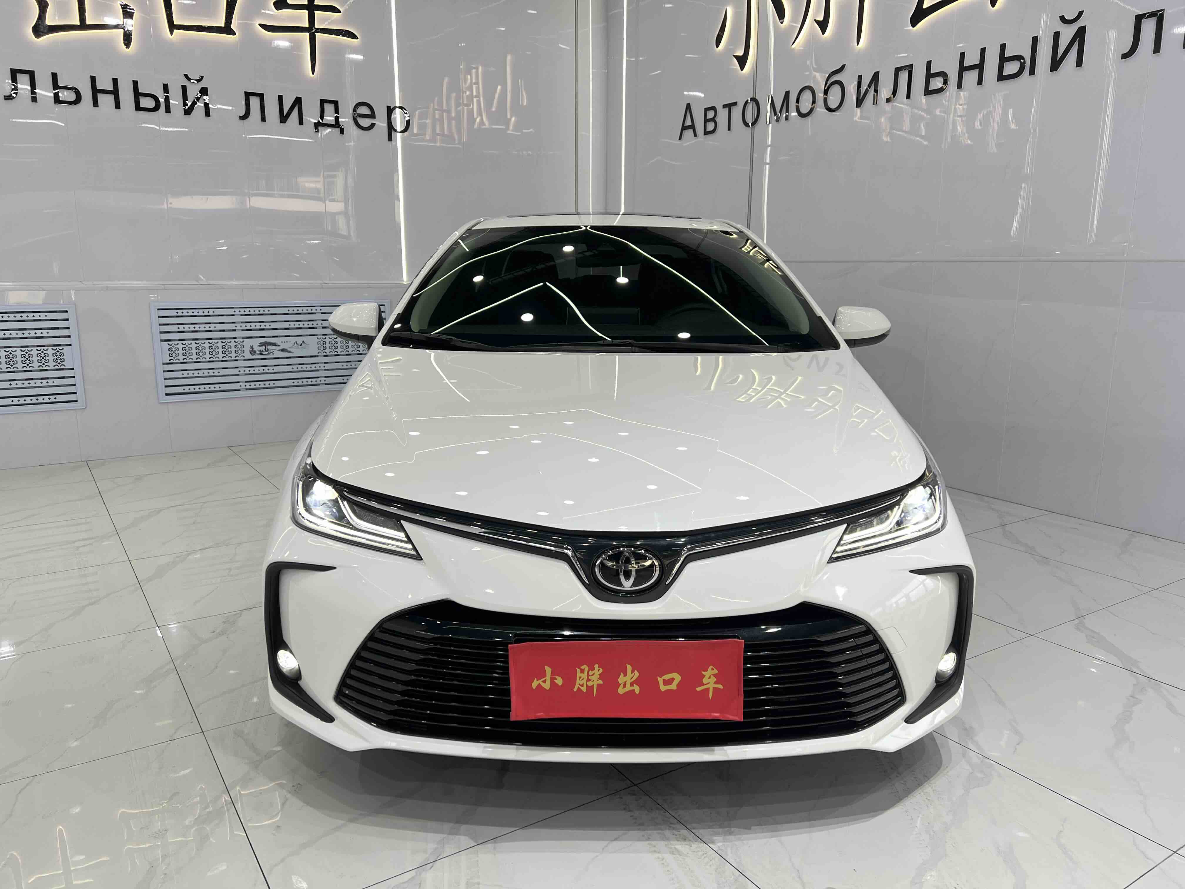 Corolla 2023 imagem de carro #2