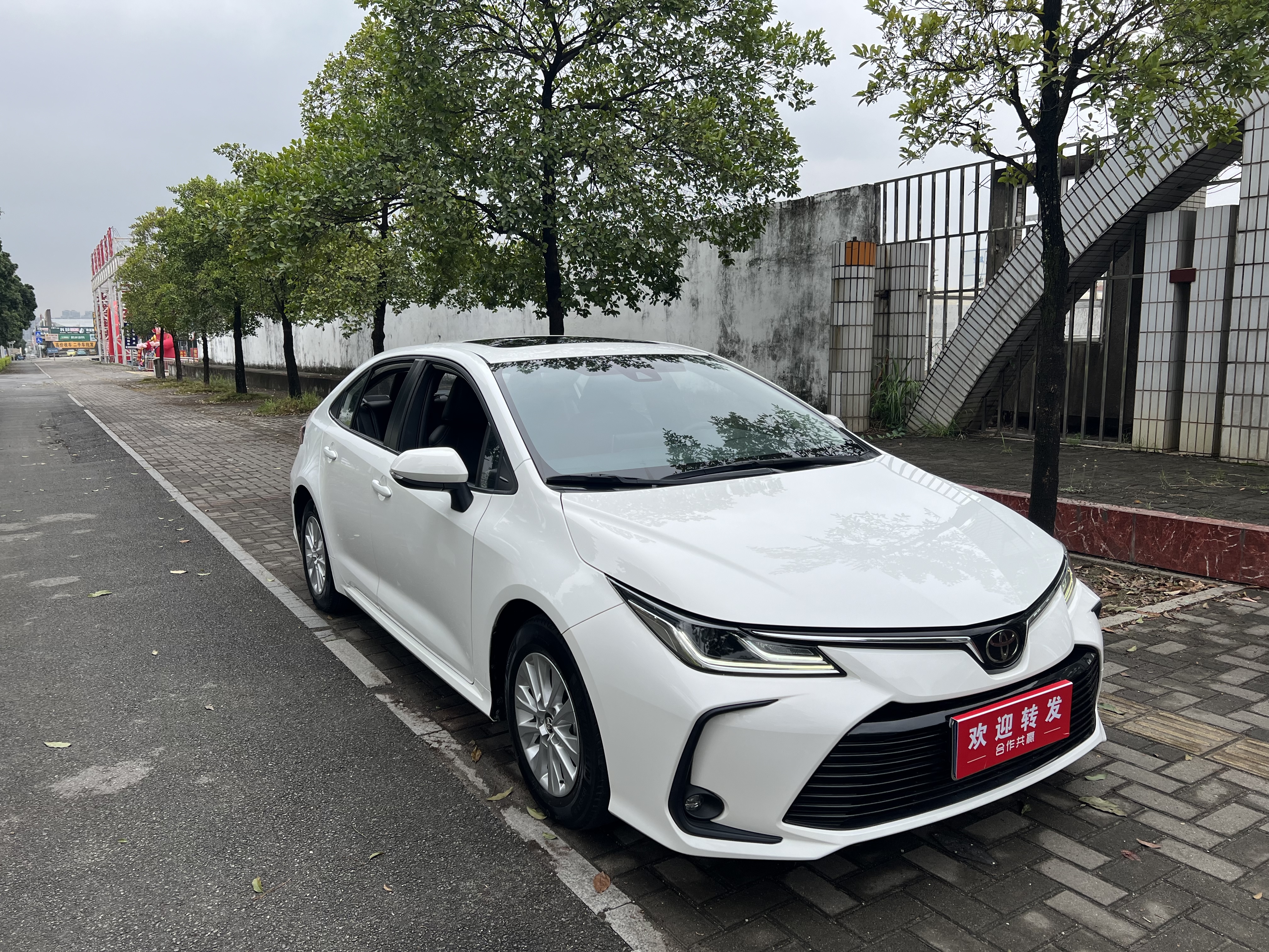 Corolla 2021 car image #2