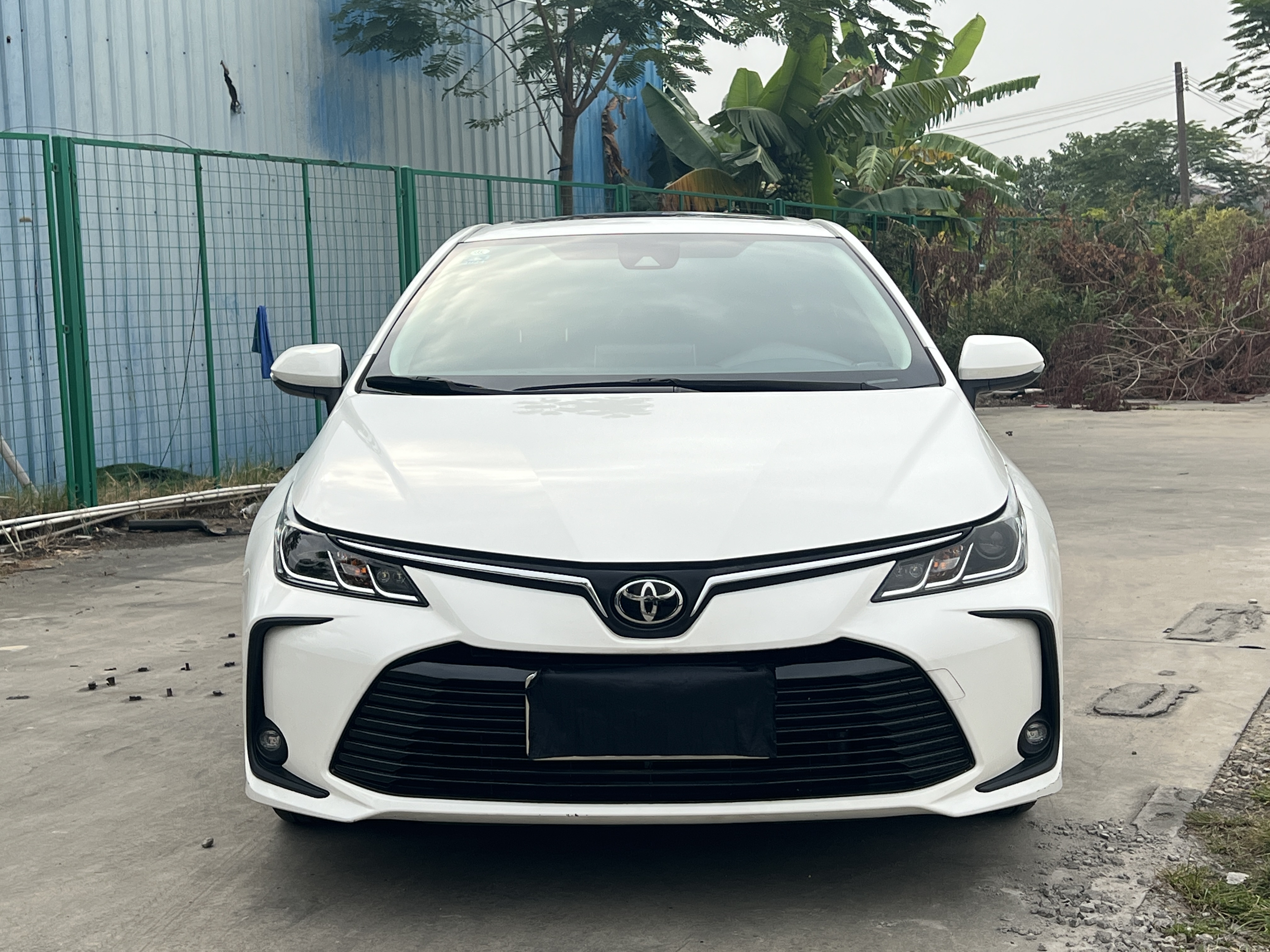 Corolla 2022 car image #2