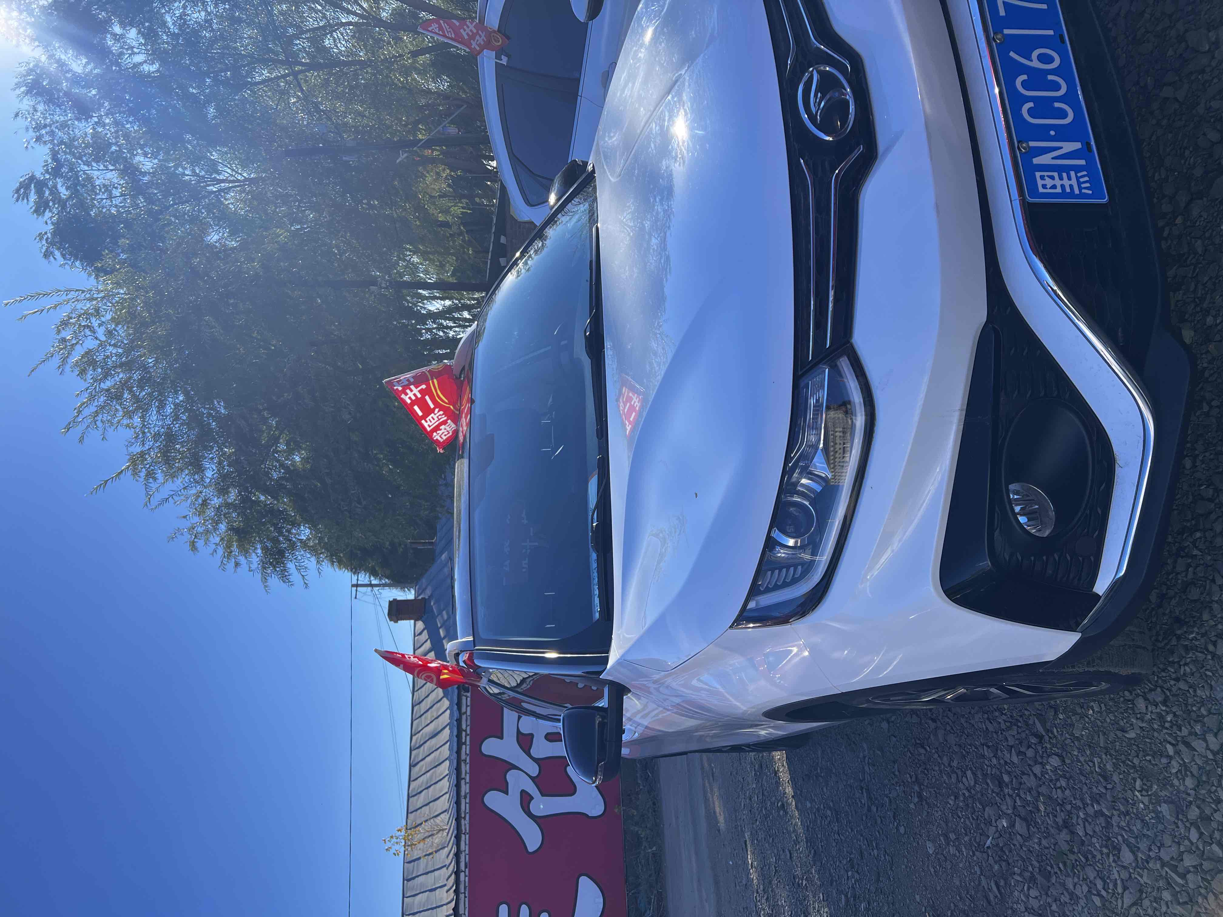 Soueast DX5 2022 imagen de coche #2